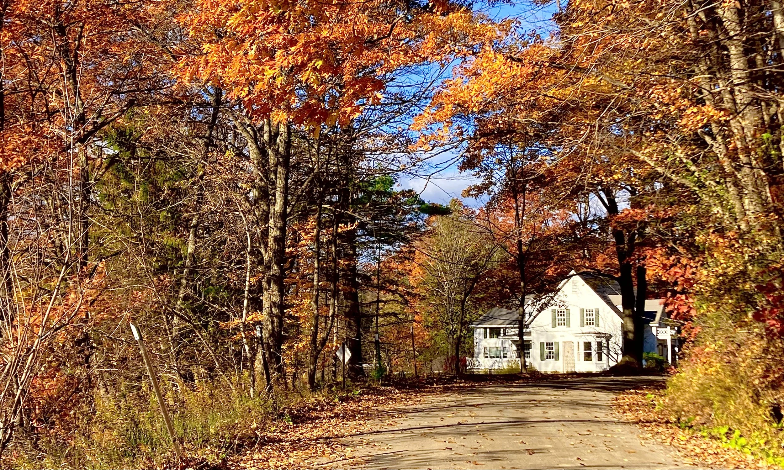 Westport Keeps Growing in October! October Newsletter