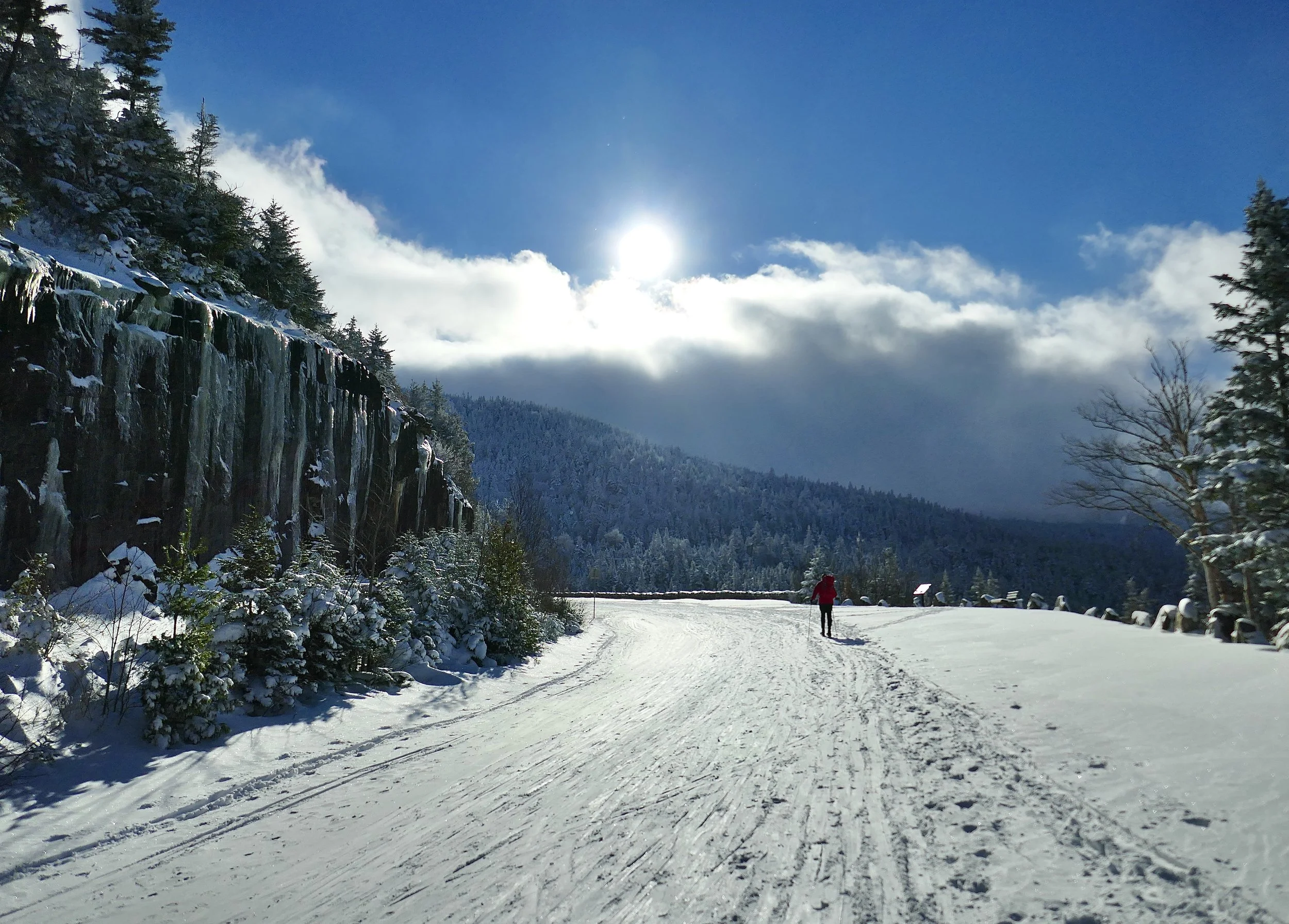 November Brings the Giving Season!