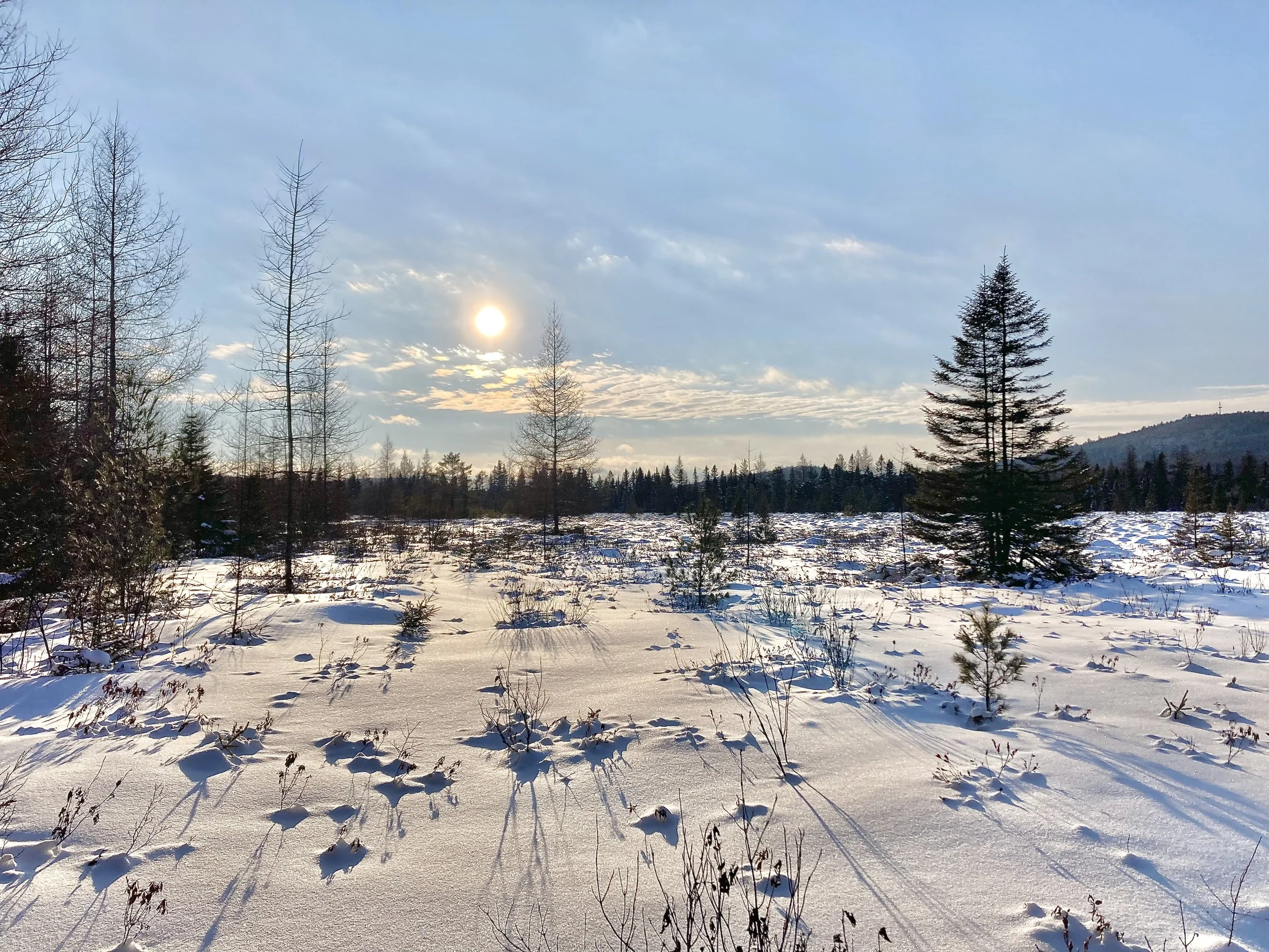 December-January Community News, Solstice Edition