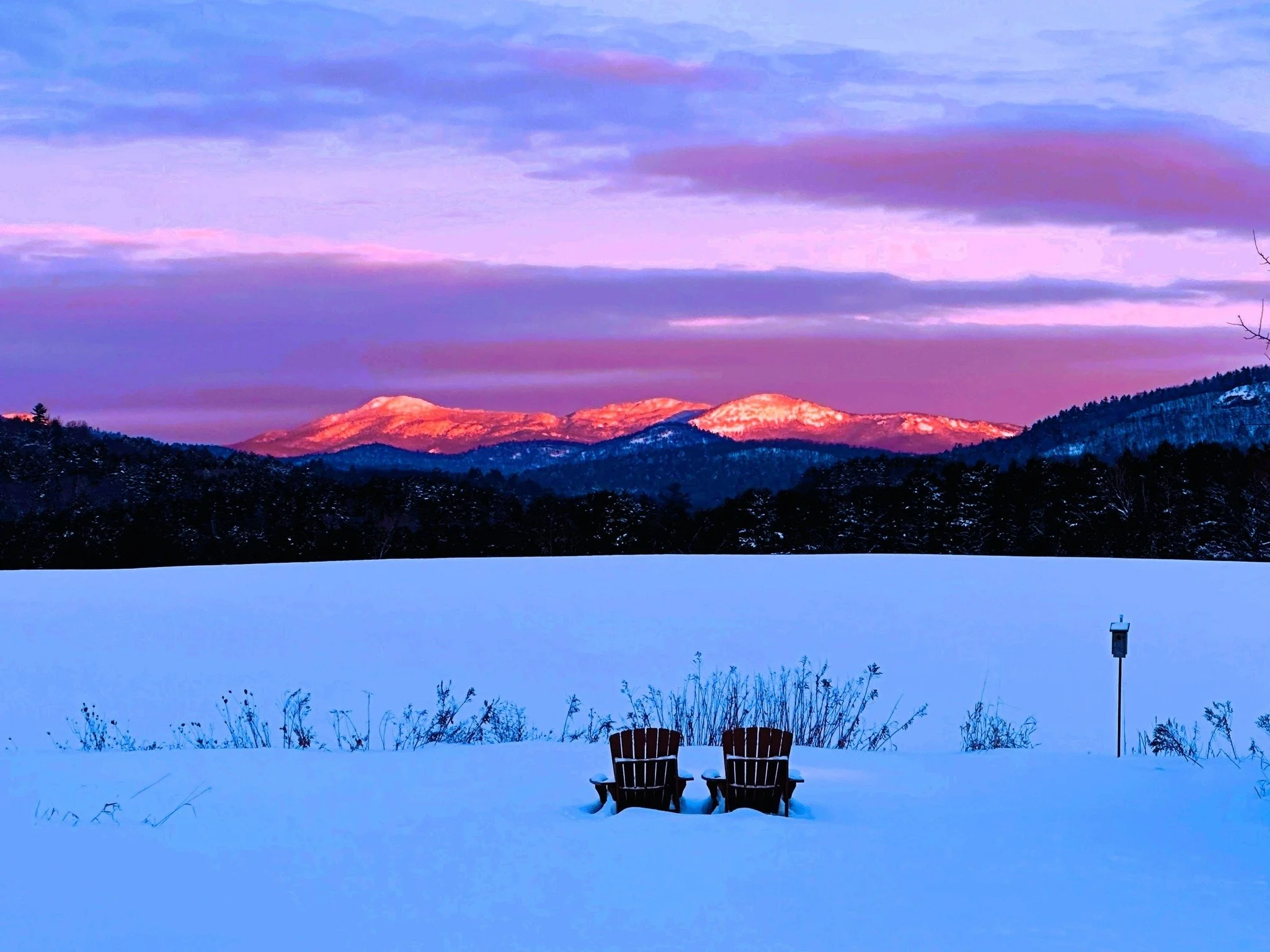 Alliance Update: New Year, New Conversations