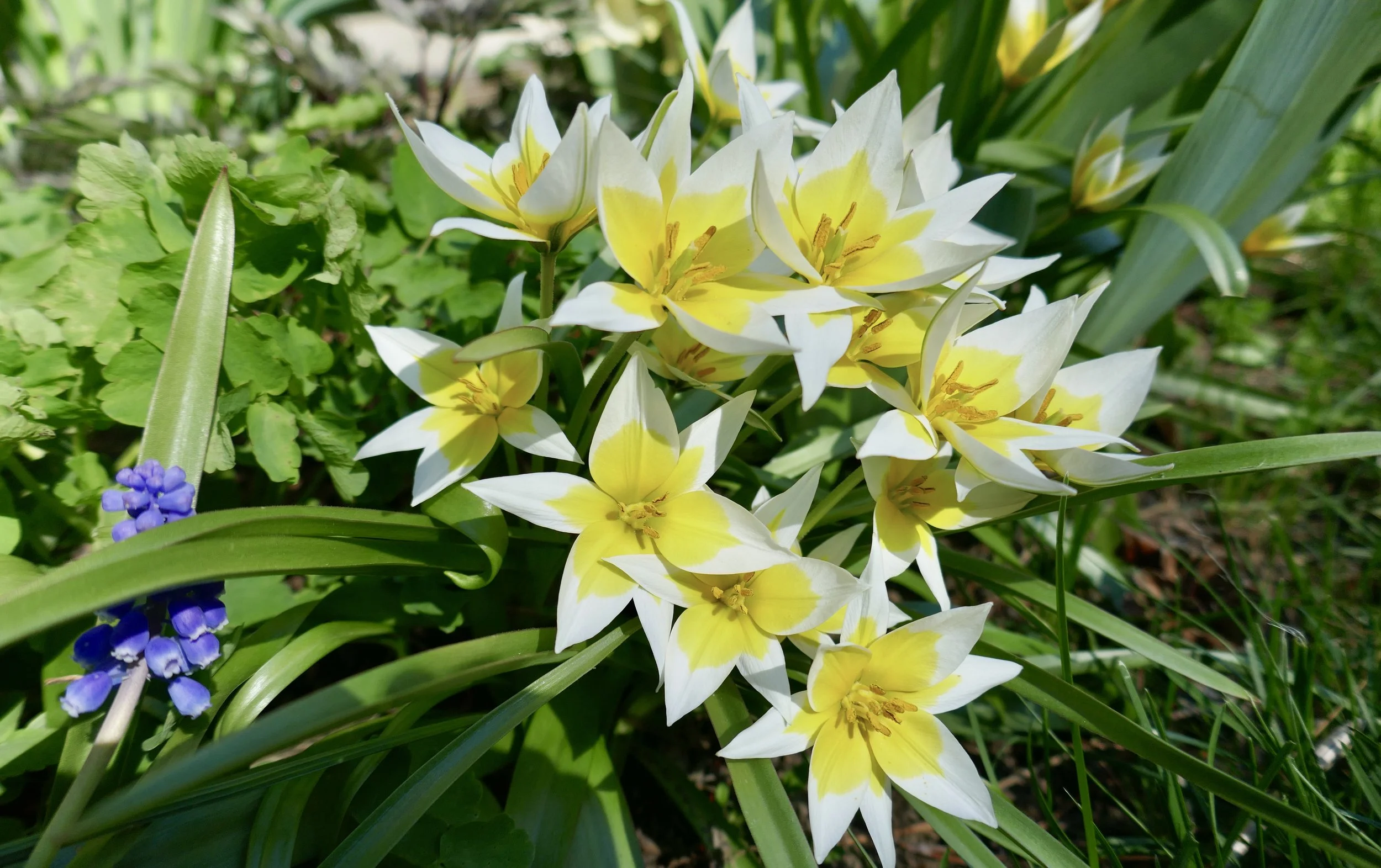 Alliance Update: Here Comes the Sun!