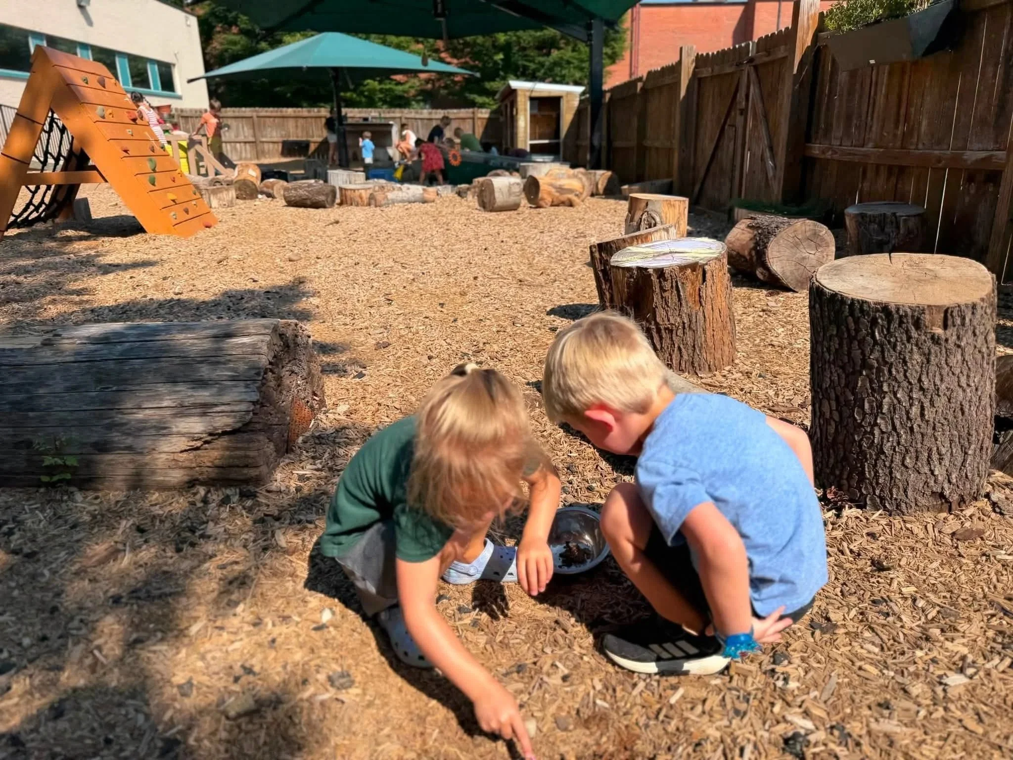 playground2026-2.jpg
