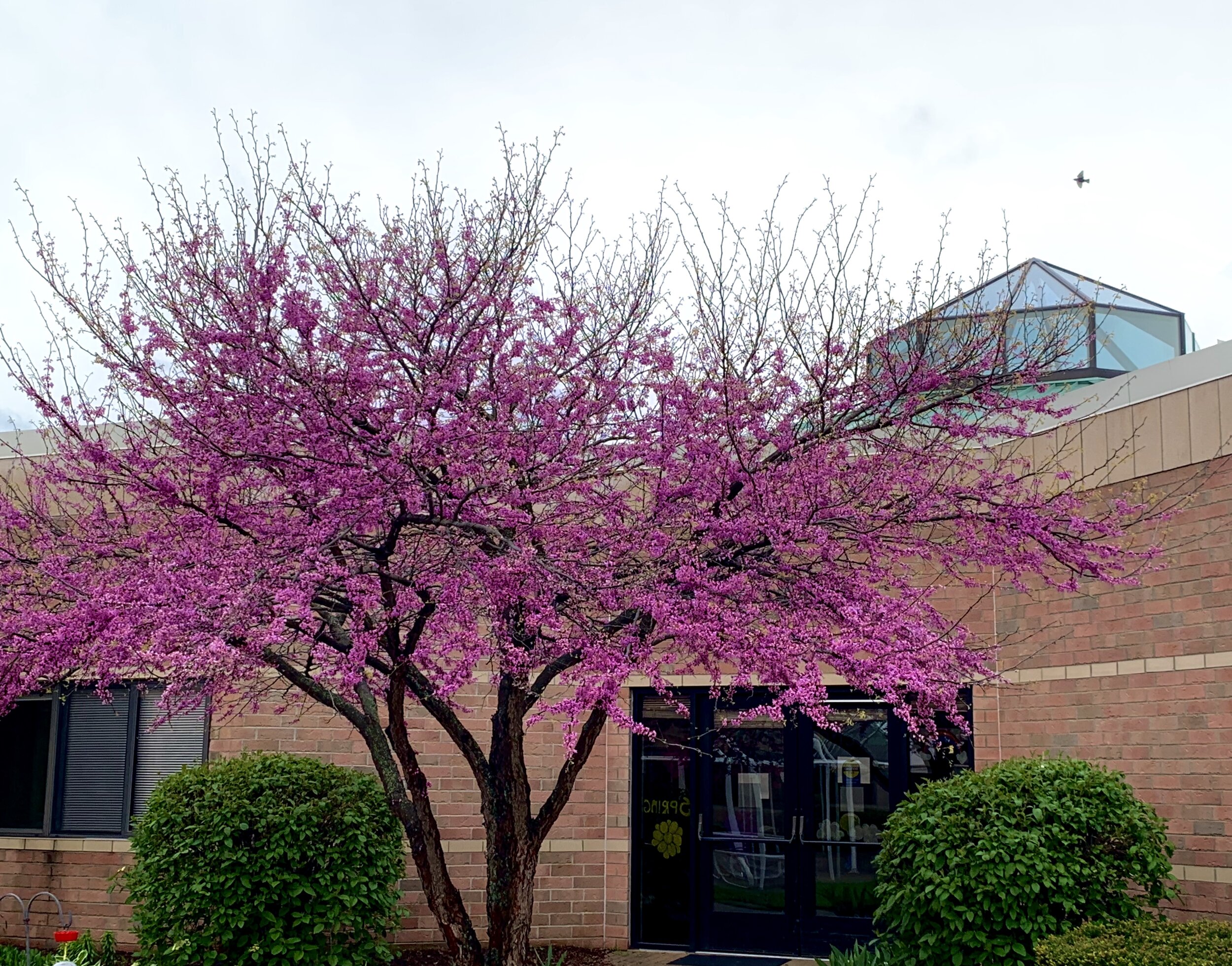 General 1 — Jackson County Medical Care Facility