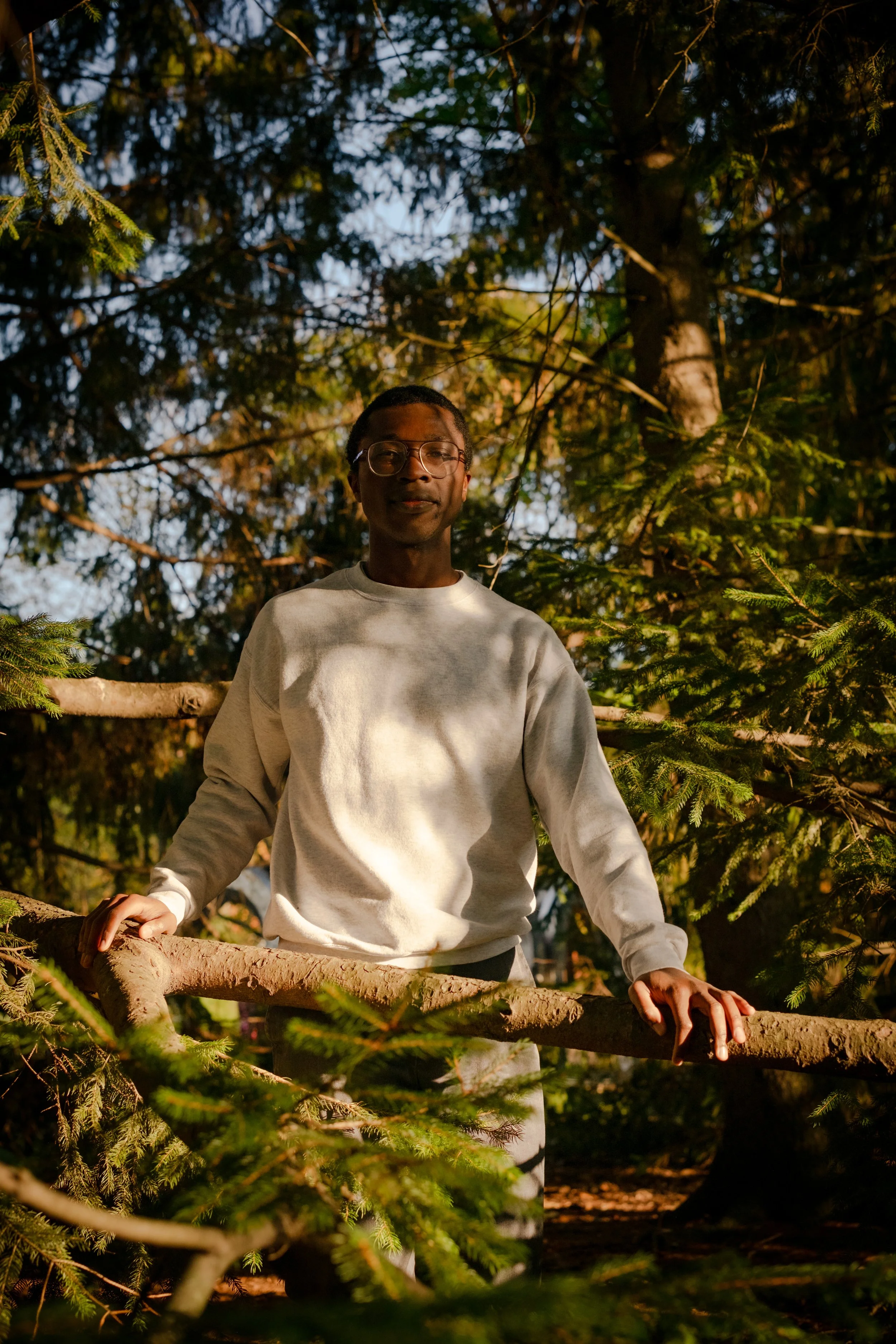 A man wearing glasses and a white sweatshirt stands outdoors among trees during sunlight, holding onto a large tree branch with both hands.