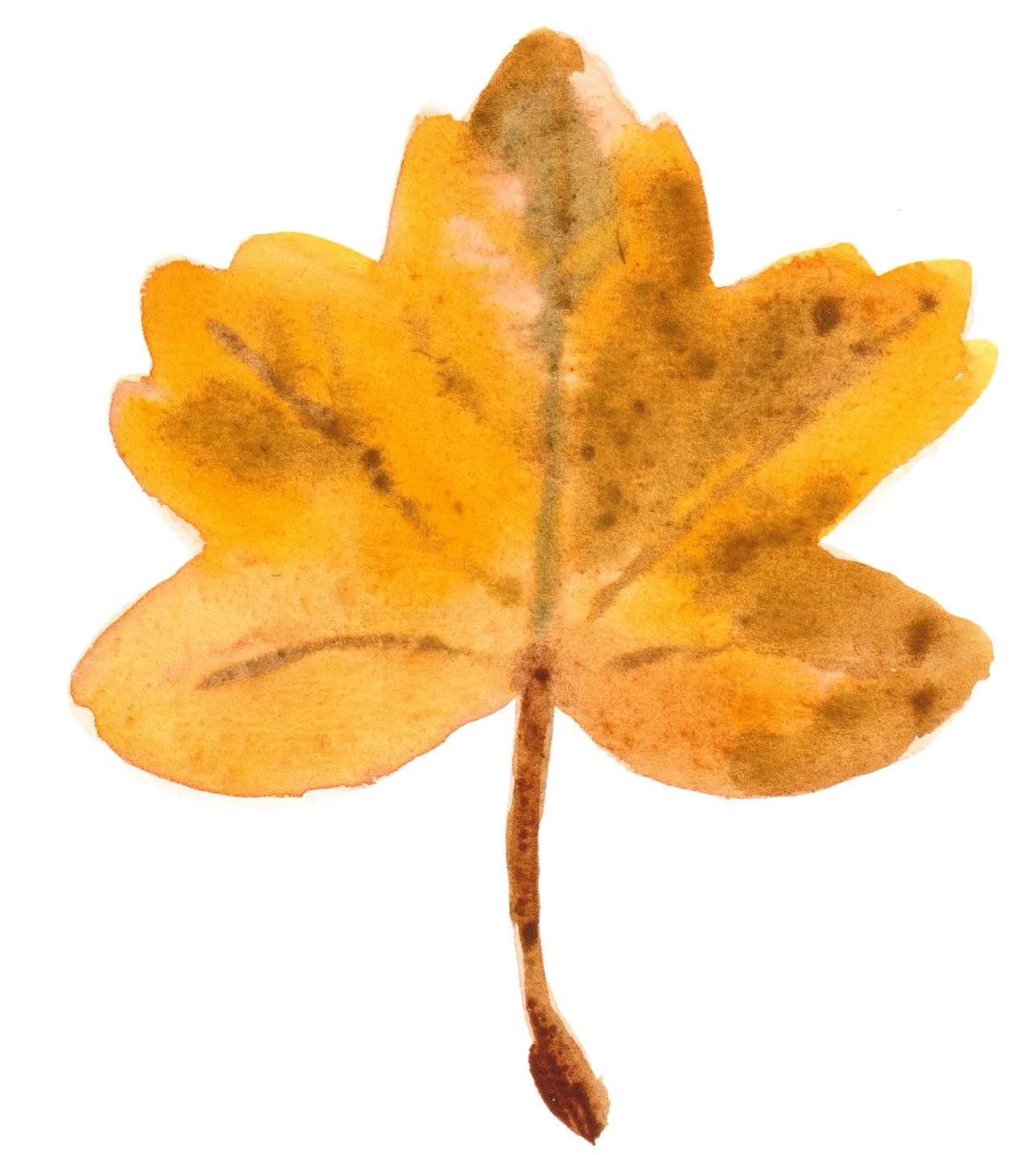 Tree leaf.jpg