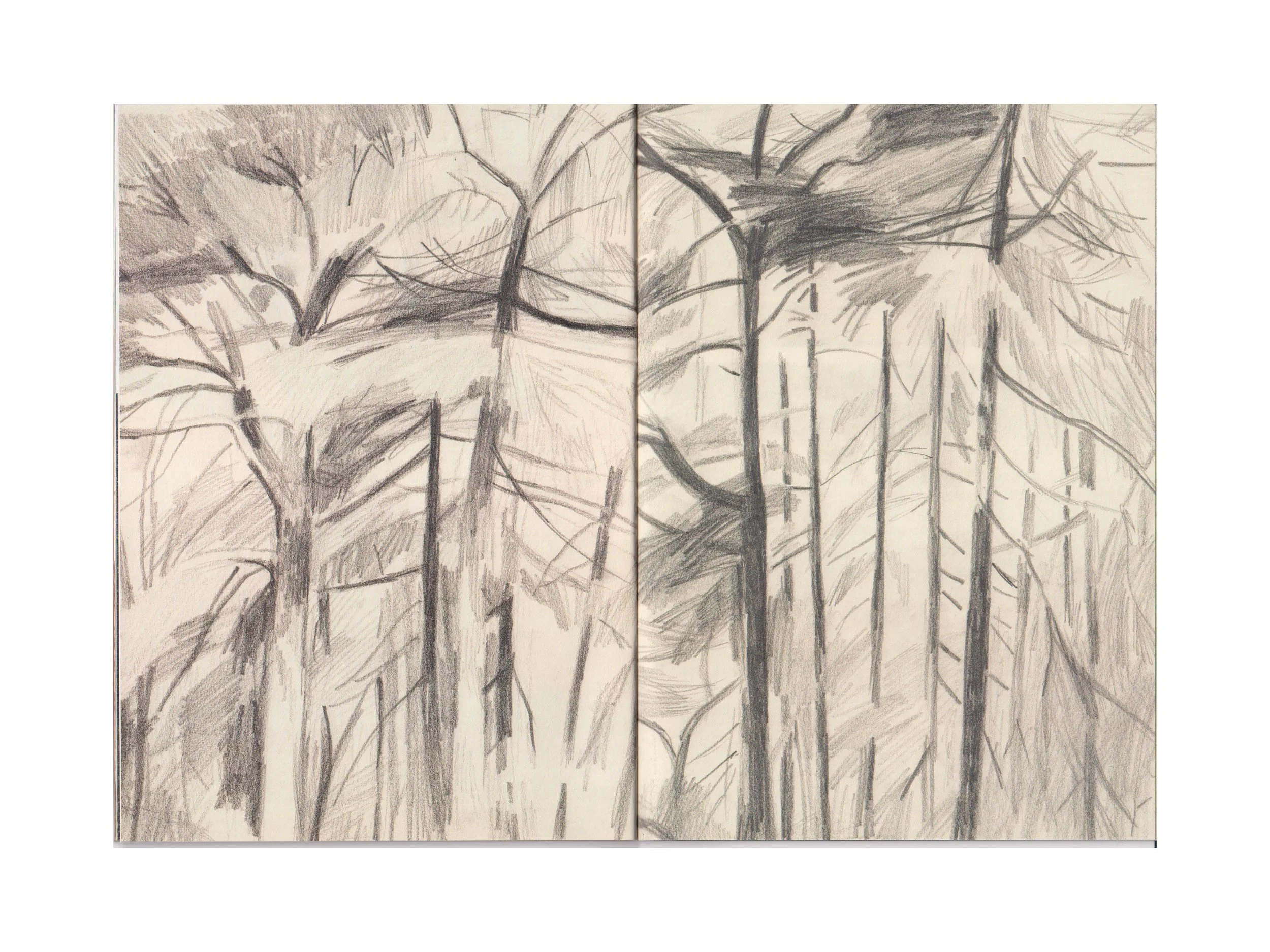 portrait of a small landscape 4x3 beelden voor op instagram8.jpg
