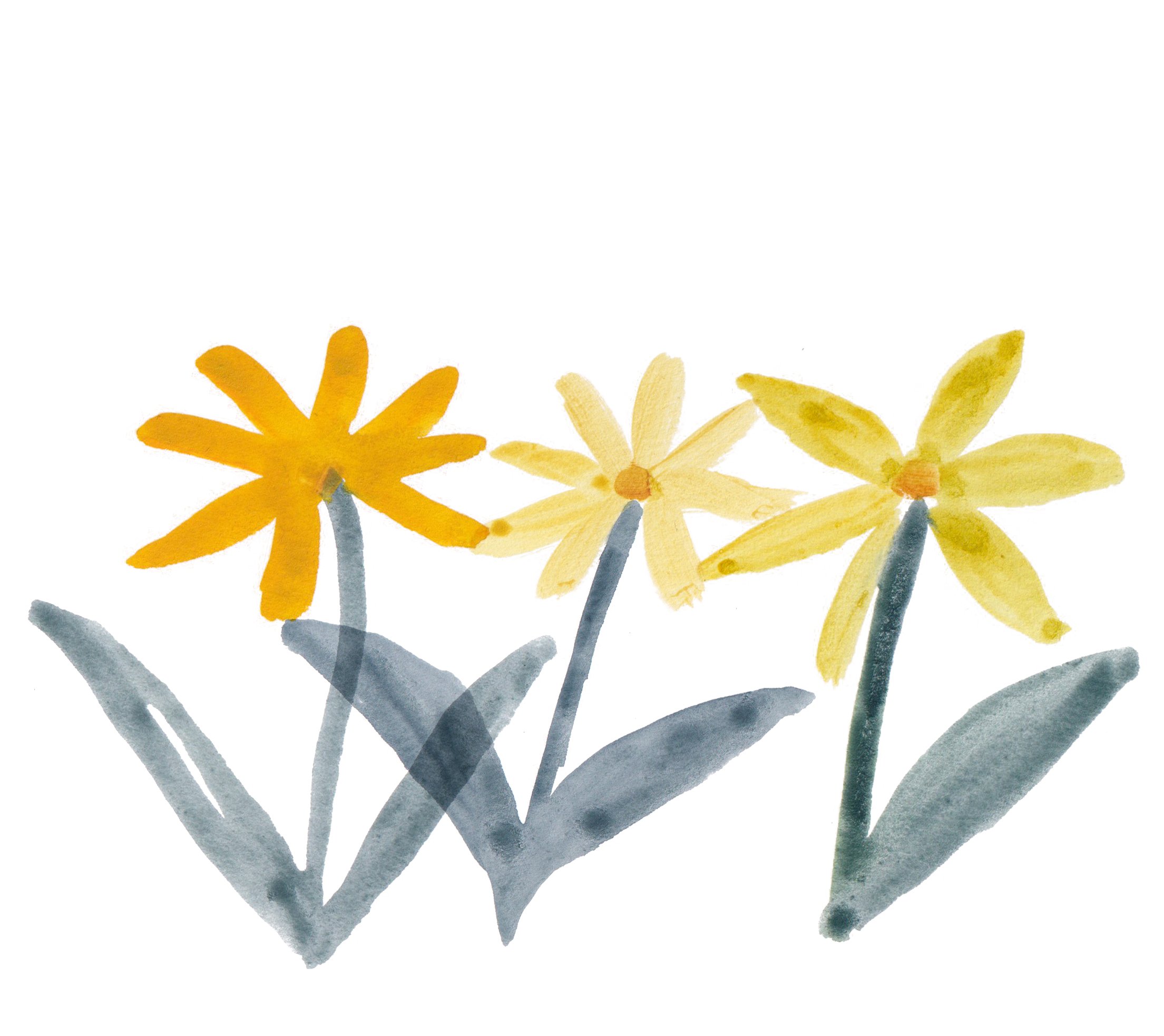 Flower option B.jpg