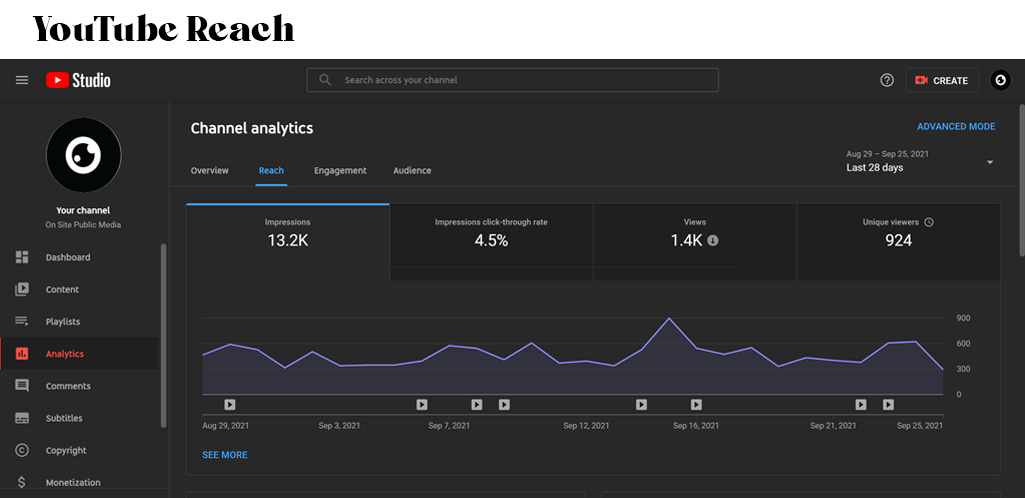 YouTube Audience 92621.png