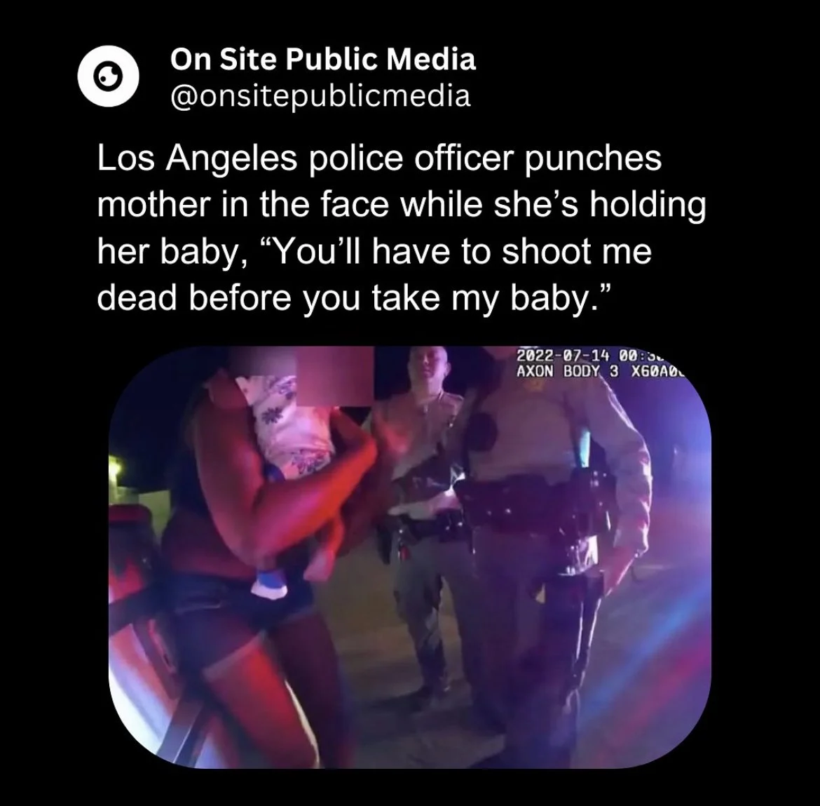 Los Angeles Police Officer Punches Young Mother Holding Baby