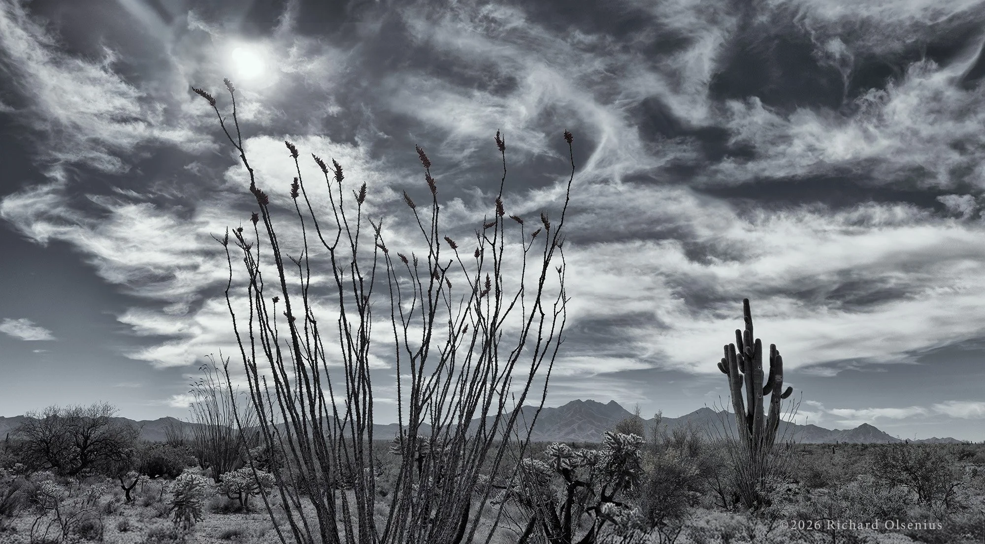 Santa Rita Mts, Green Valley, AZ. photo ©2026 Richard Olsenius. Sky islands, Cloudsforever.com