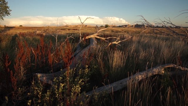 The Prairie