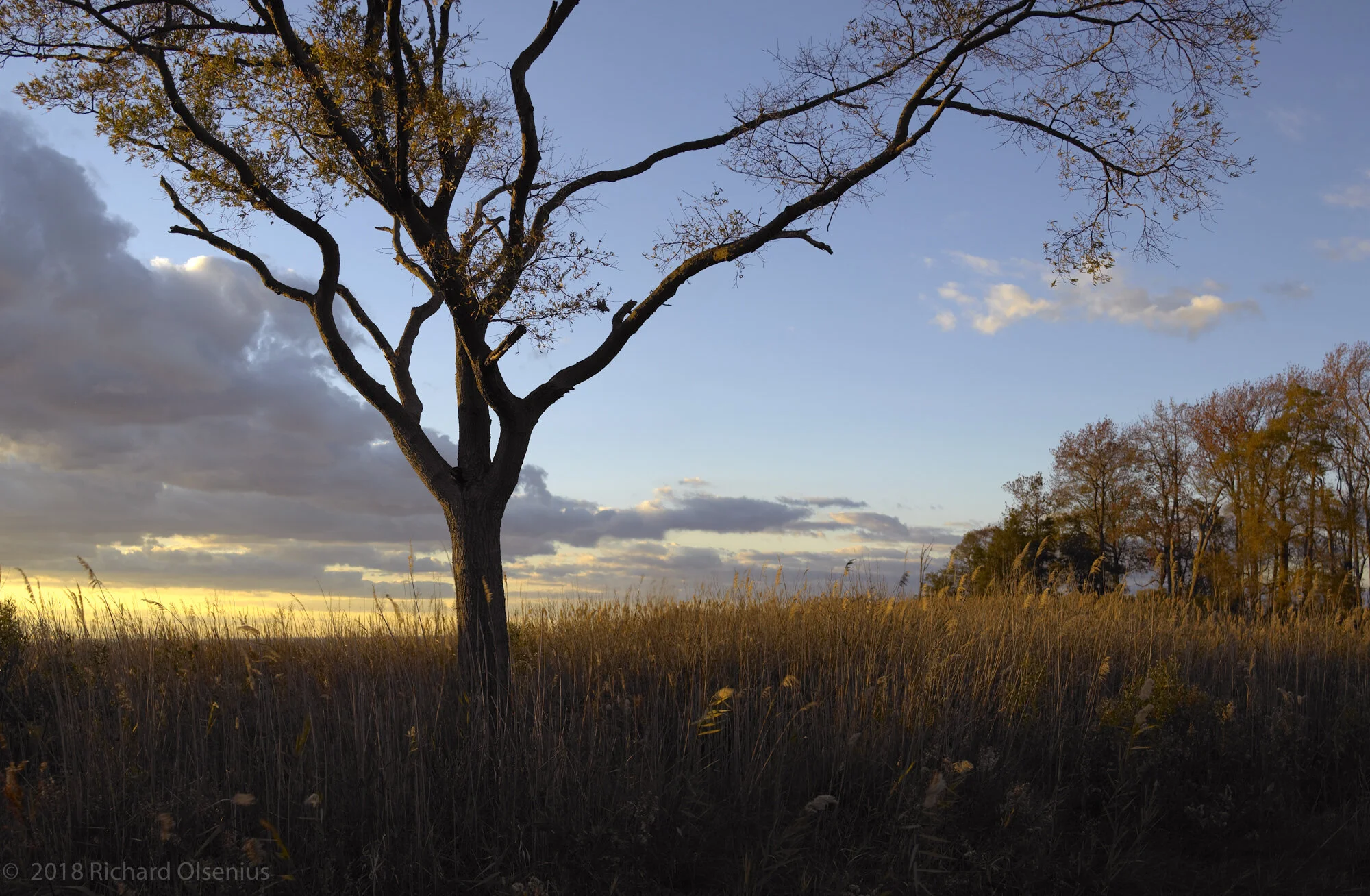 Bay Landscapes-34