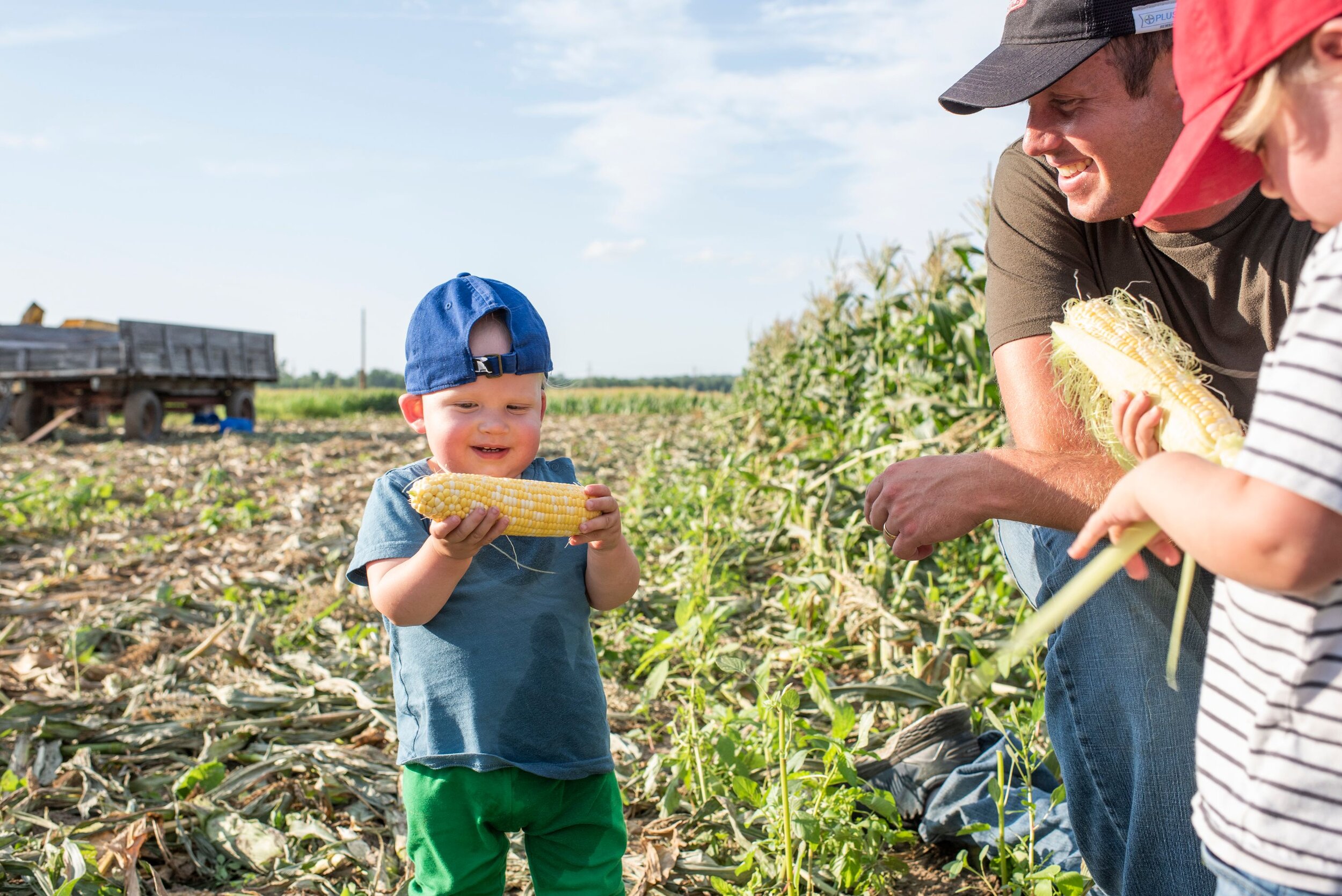 A young child in a baseball cap eats fresh corn on a farm
