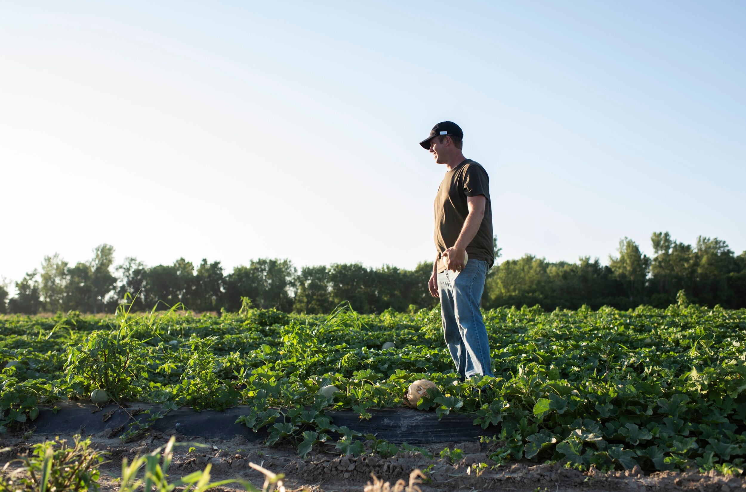 A man in a baseball cap walks through the fields of his family farm