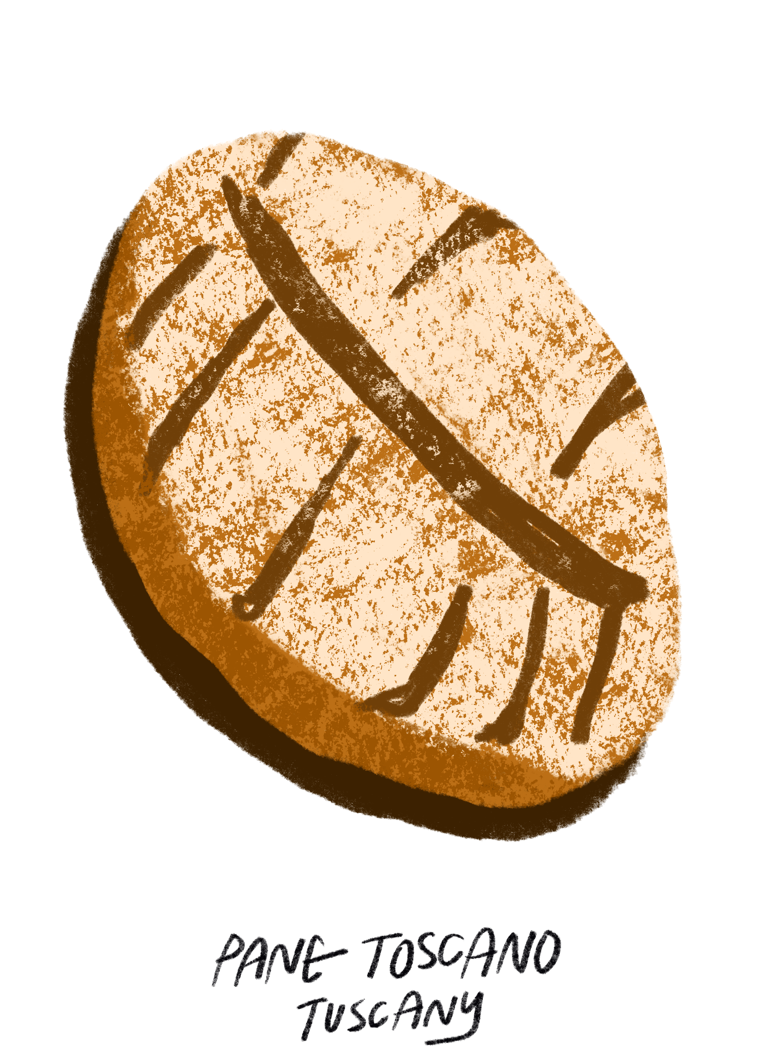 COPERTO 4.png