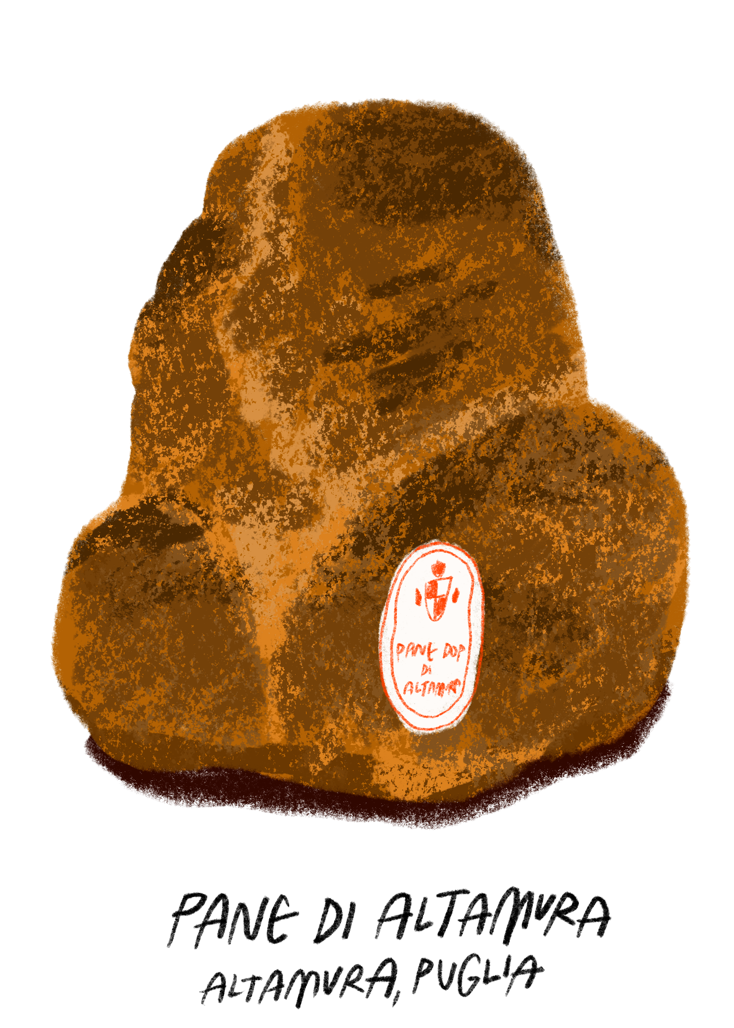 COPERTO 3.png