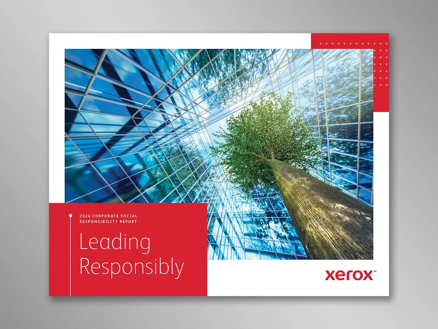 XEROX-CSR-PAGE-1.jpg