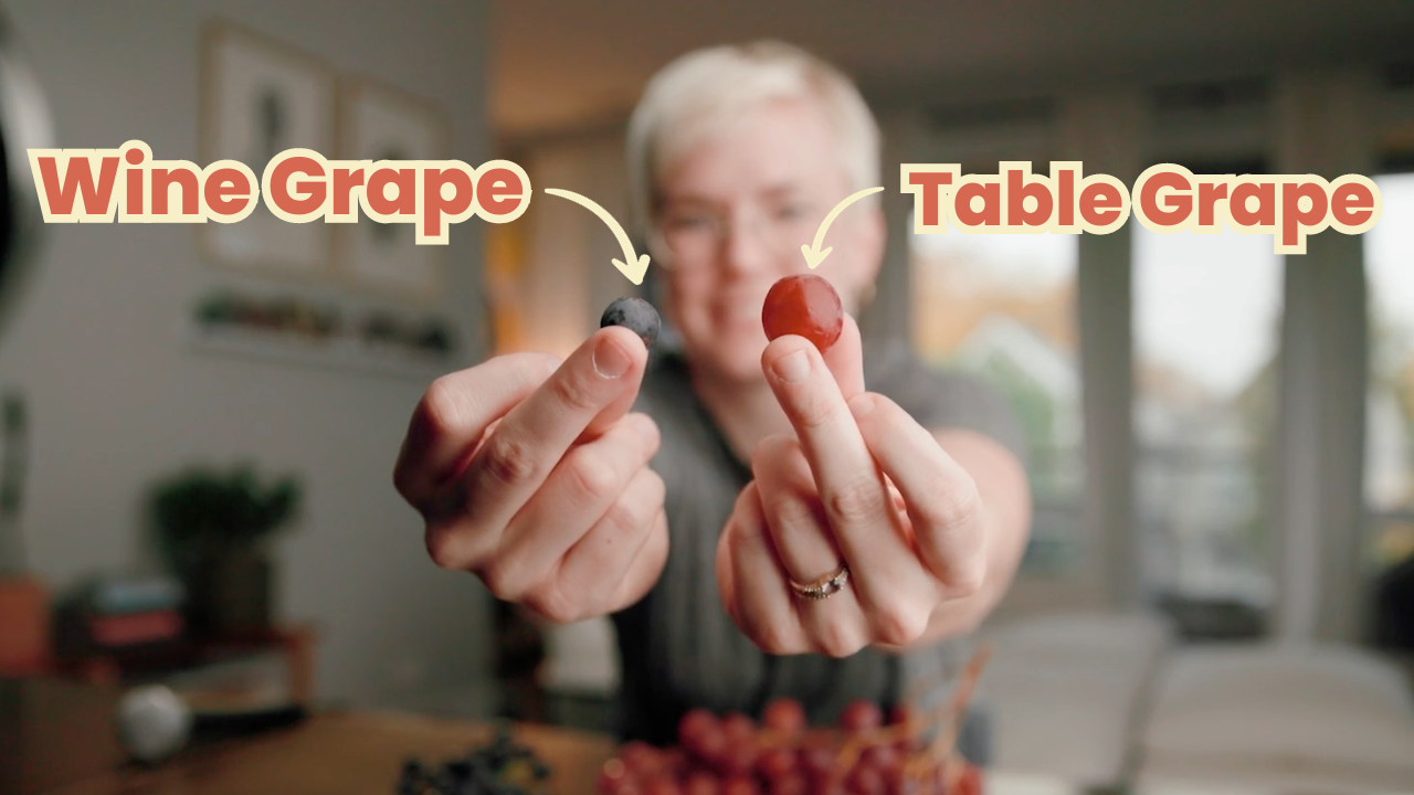What Is Wine?