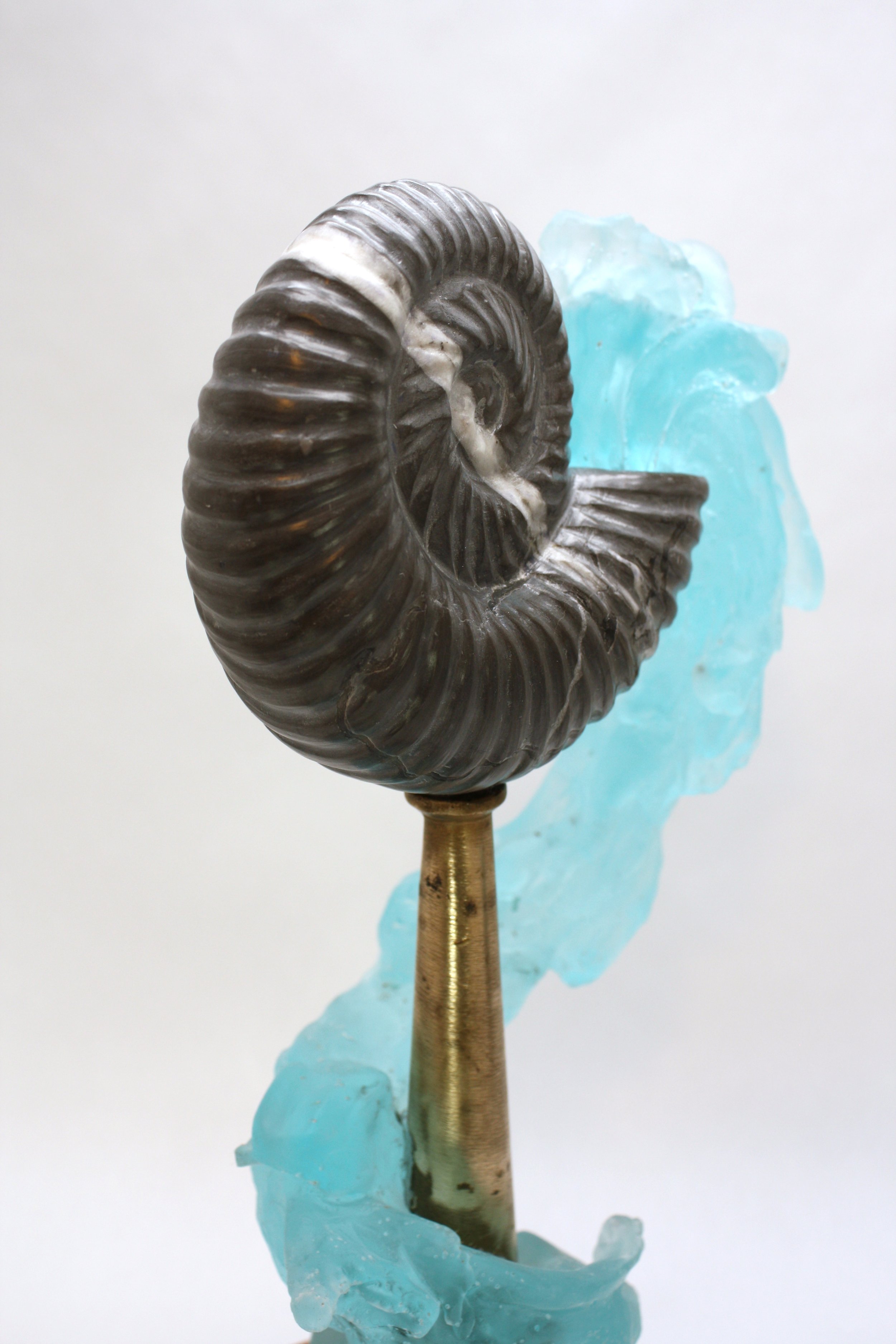 Primordial Memory_detail1_SchluneggerWarner.jpg