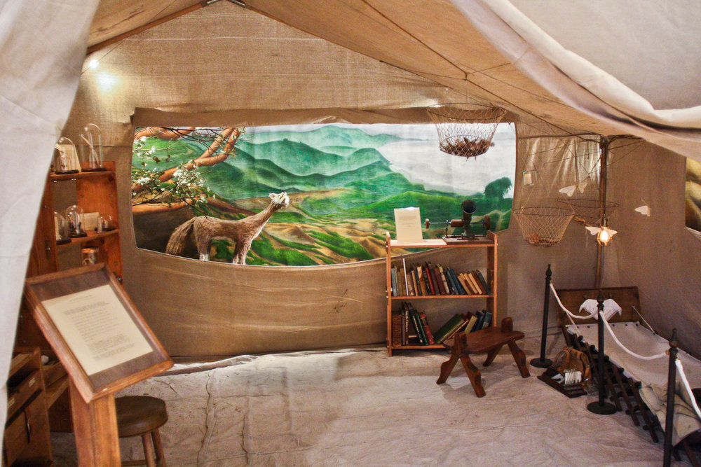 2Schlunegger_Danielle__StoriesOfAnOutsiderInNature_InstallationView_MKC.jpg