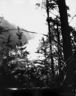FiberNeg_Shot1-001COMP.jpg