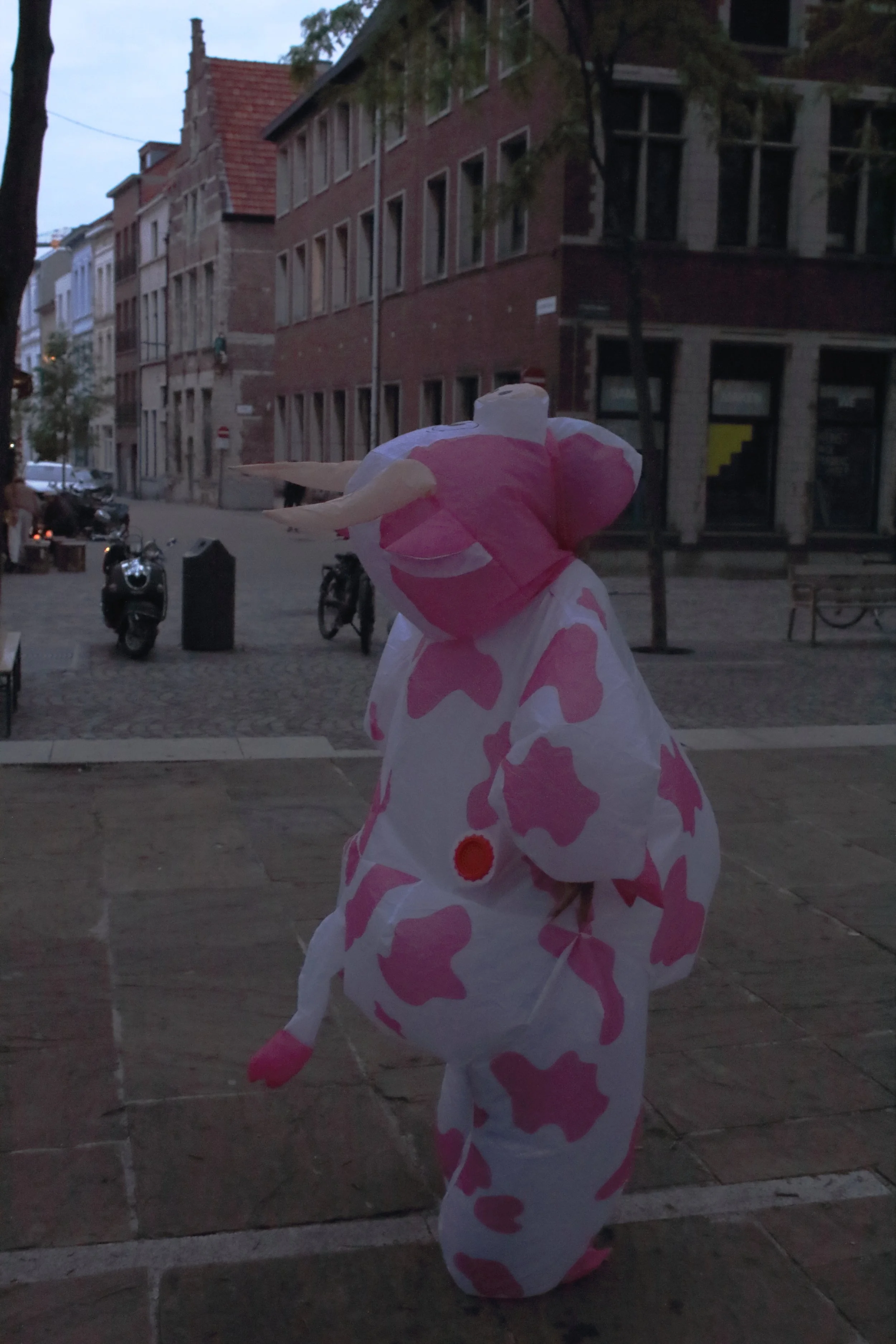 00050801.JPG
