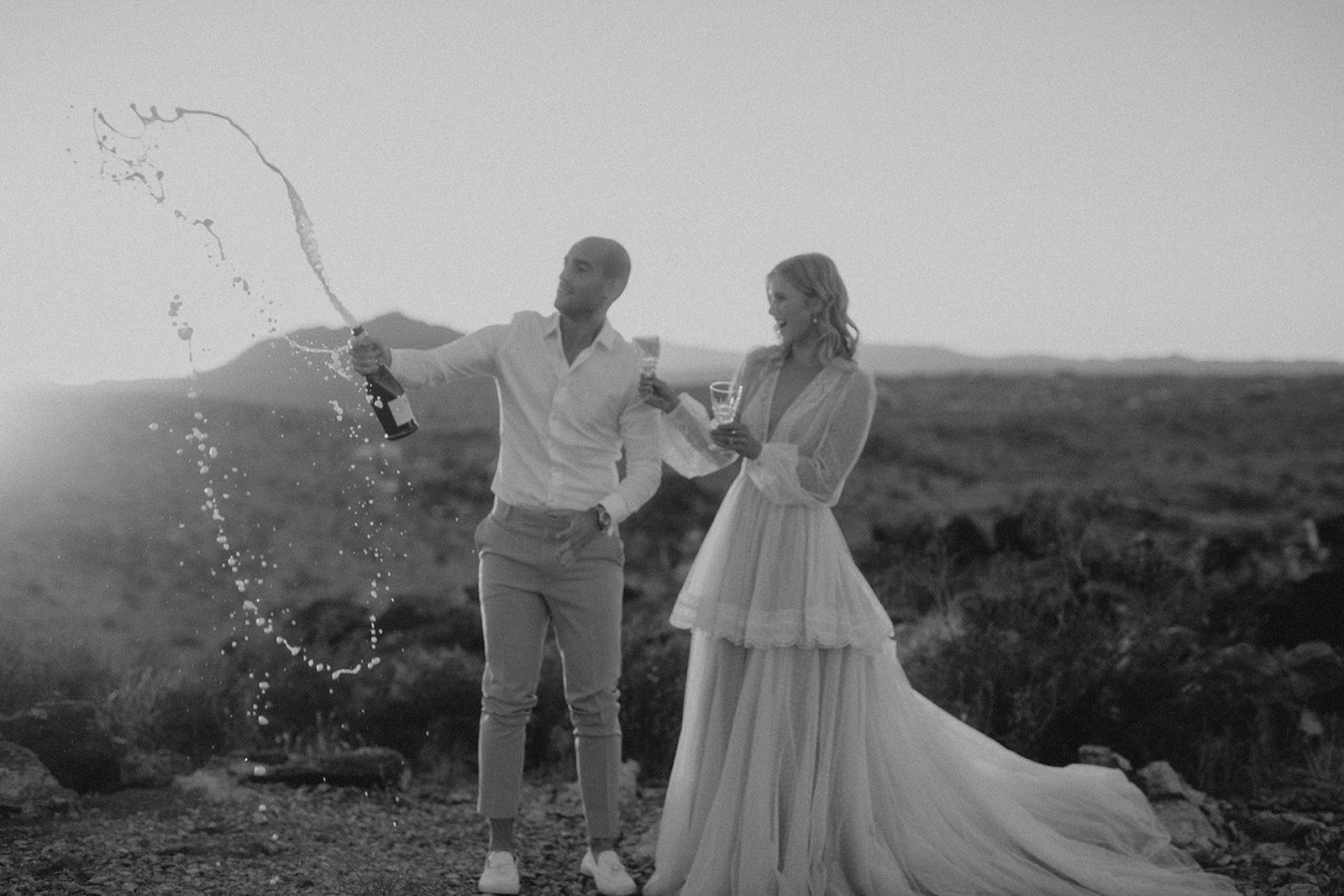 Joshua-tree_wedding_venue_location_celebration_bride_gown.jpg