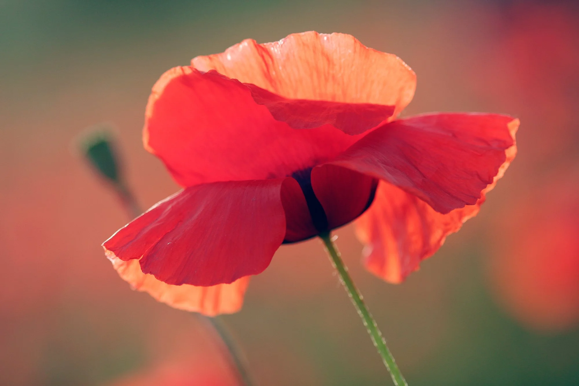 Even more beautiful up close