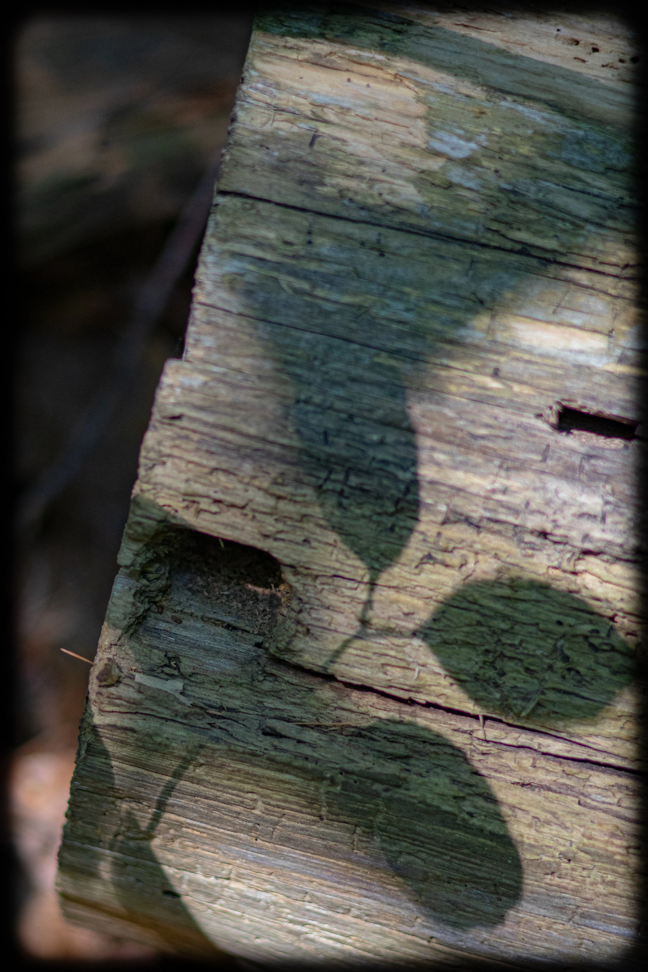 shadows and textures 1