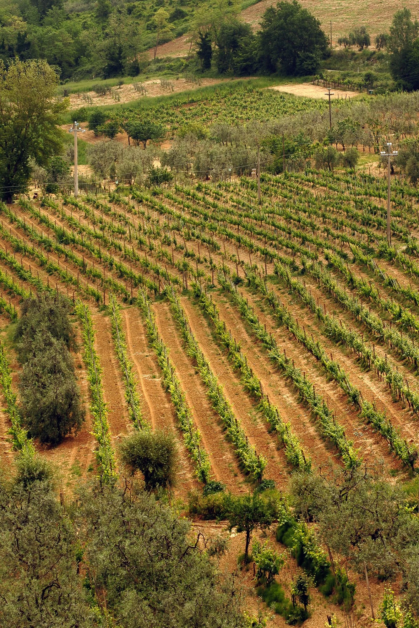 
Man and Nature in Cooperation