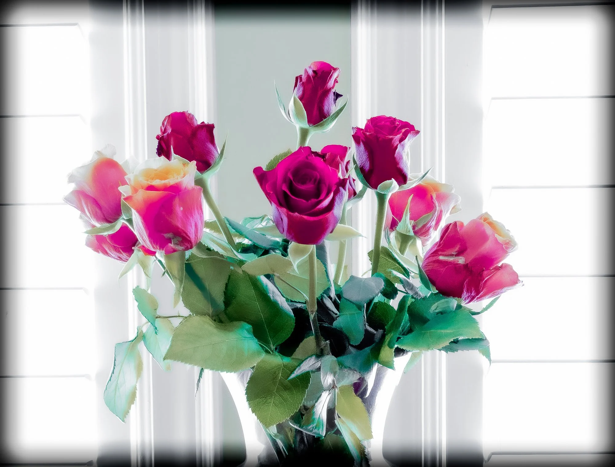 Funky Roses