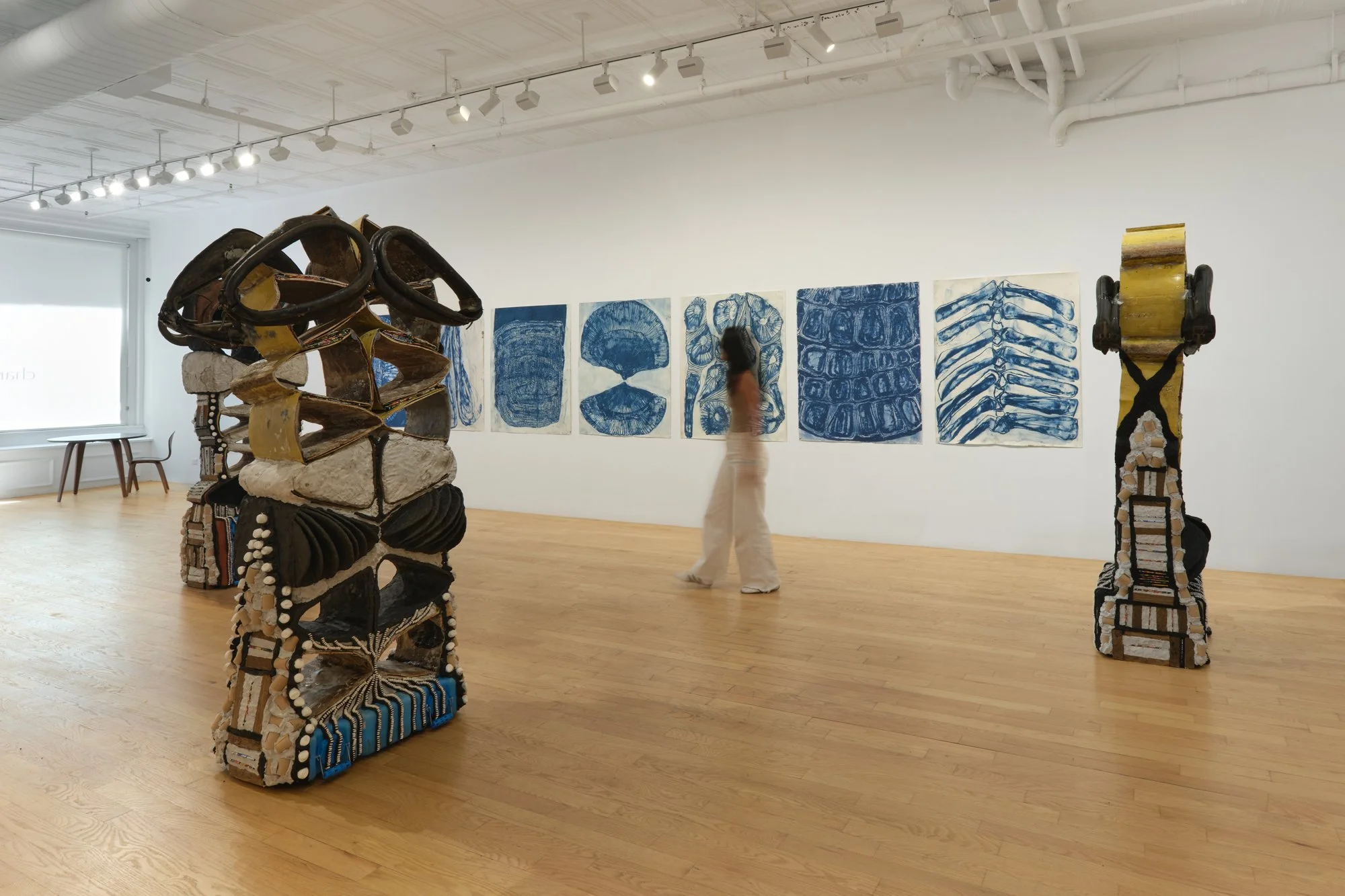 Whitney Oldenburg_2026_install_11.jpg