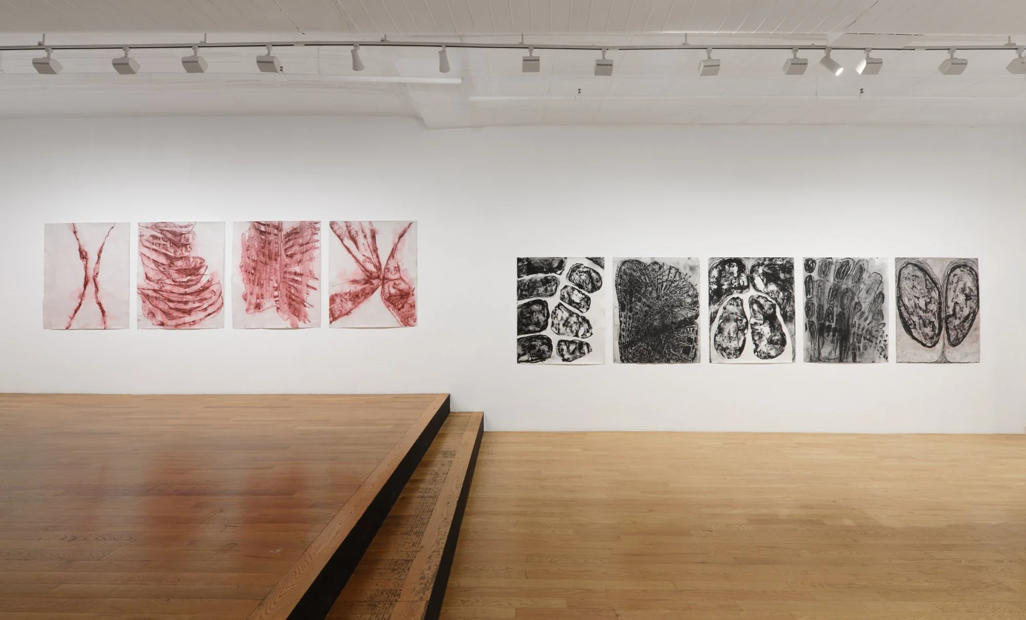 Whitney Oldenburg_2026_install_6.jpg