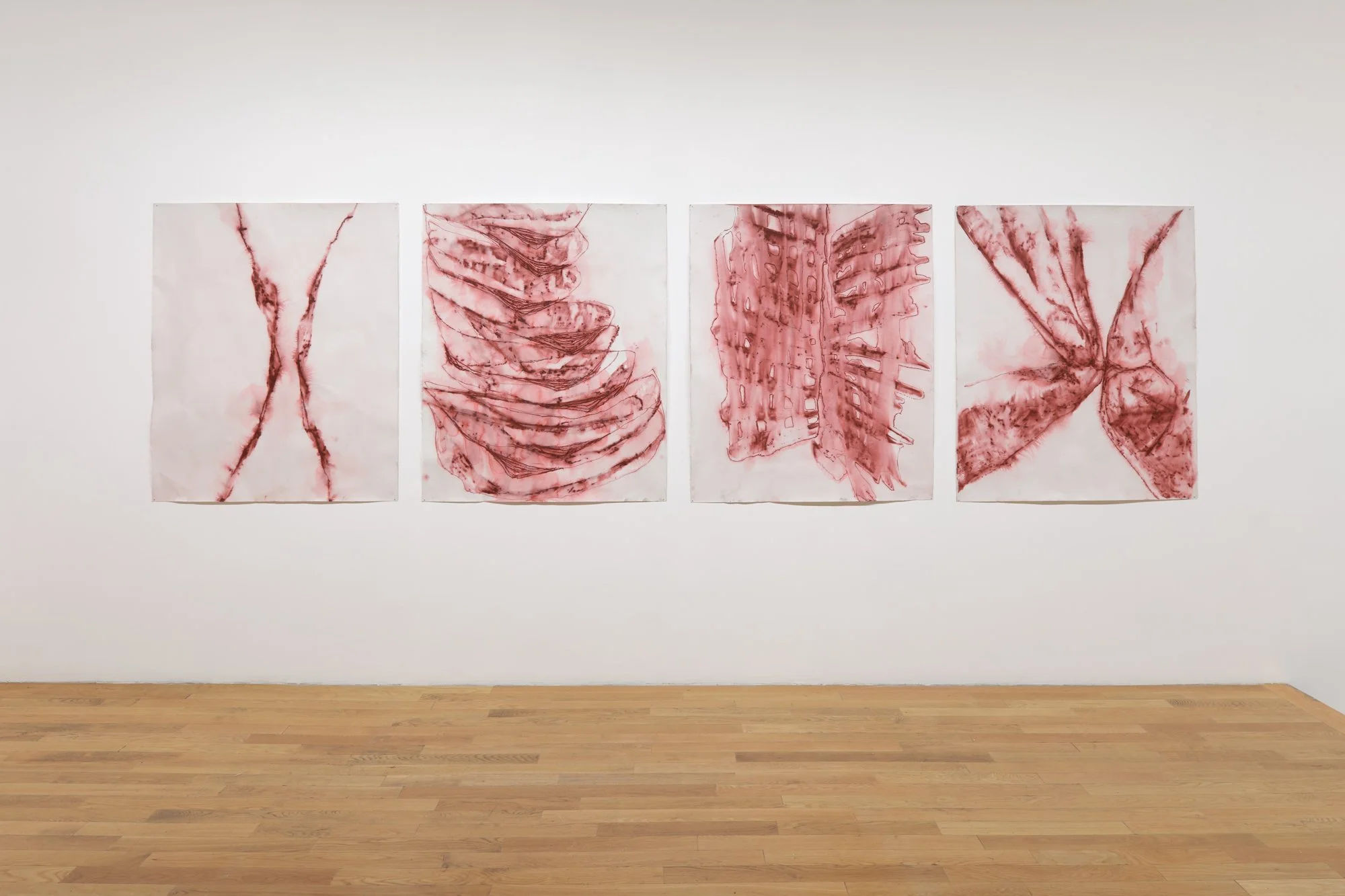 Whitney Oldenburg_2026_install_7.jpg