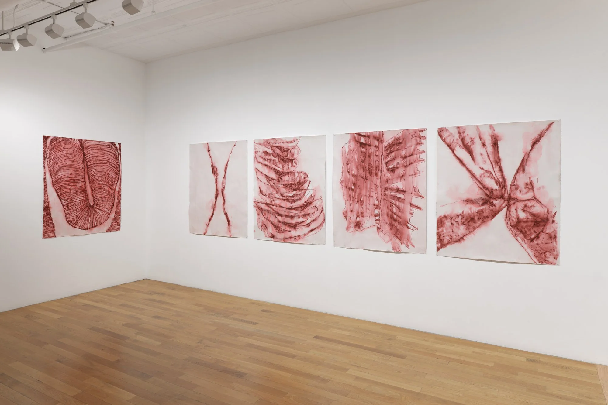 Whitney Oldenburg_2026_install_8.jpg