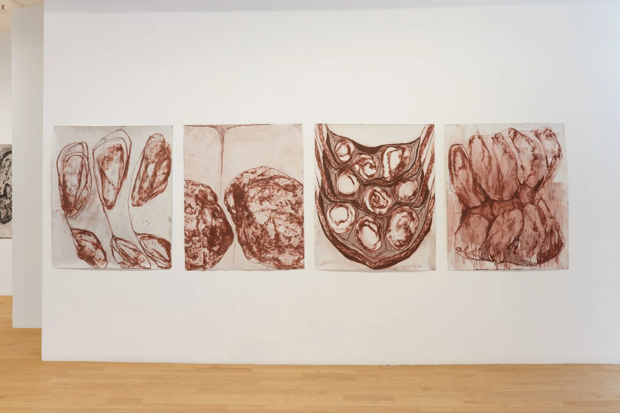 Whitney Oldenburg_2026_install_3.jpg