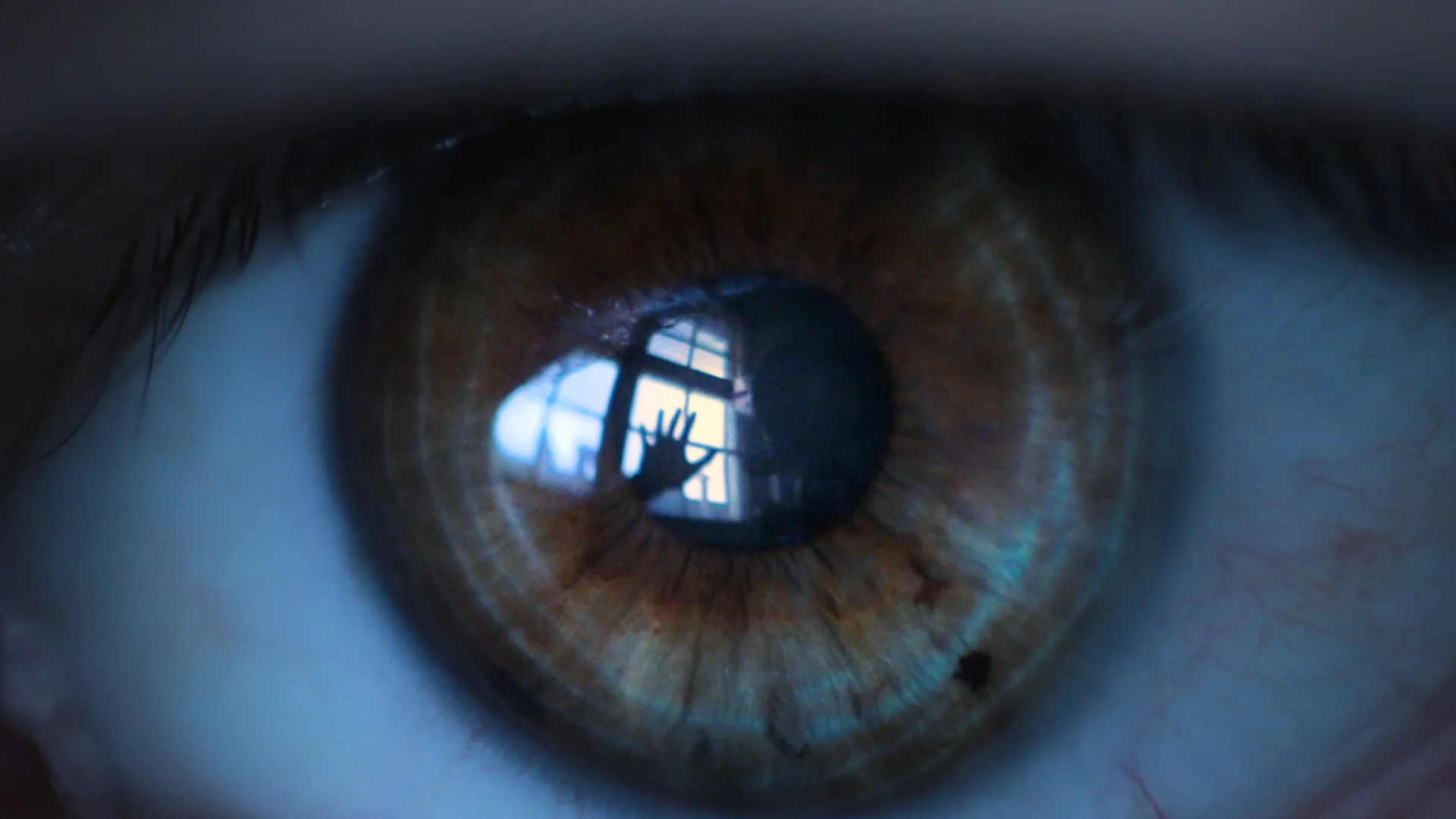 Y3 - Influorescent (2019)