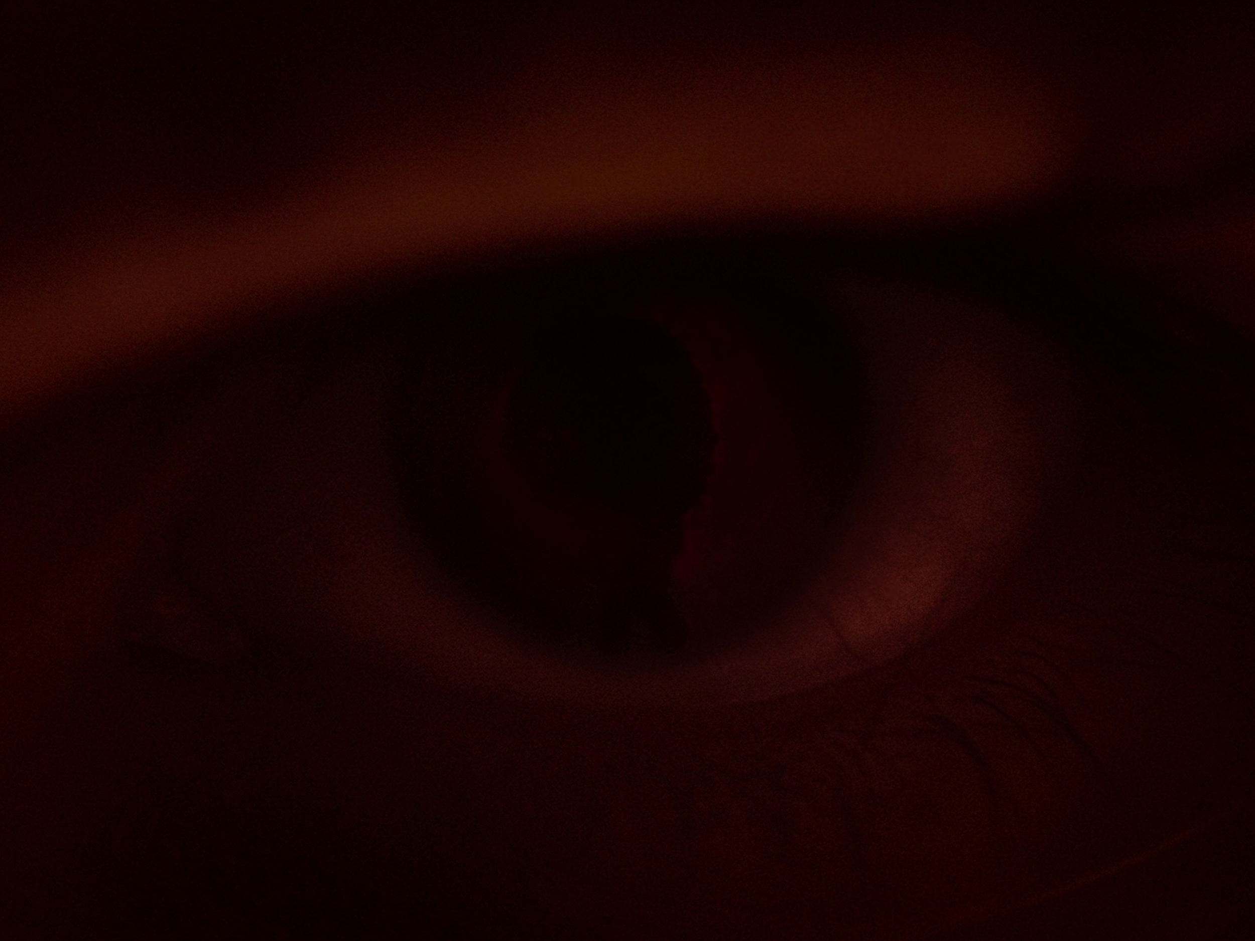 Screenbox_20260421_200542.png