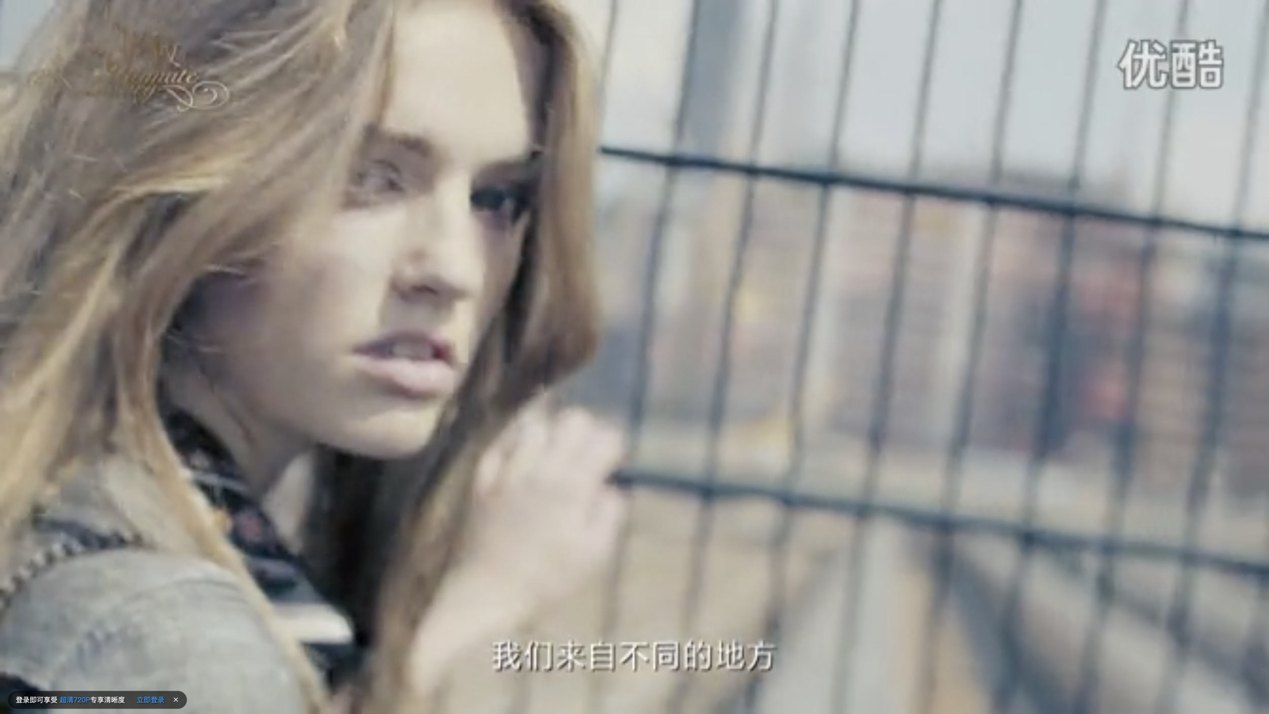 Screen Shot 2020-07-30 at 9.55.17 PM.png