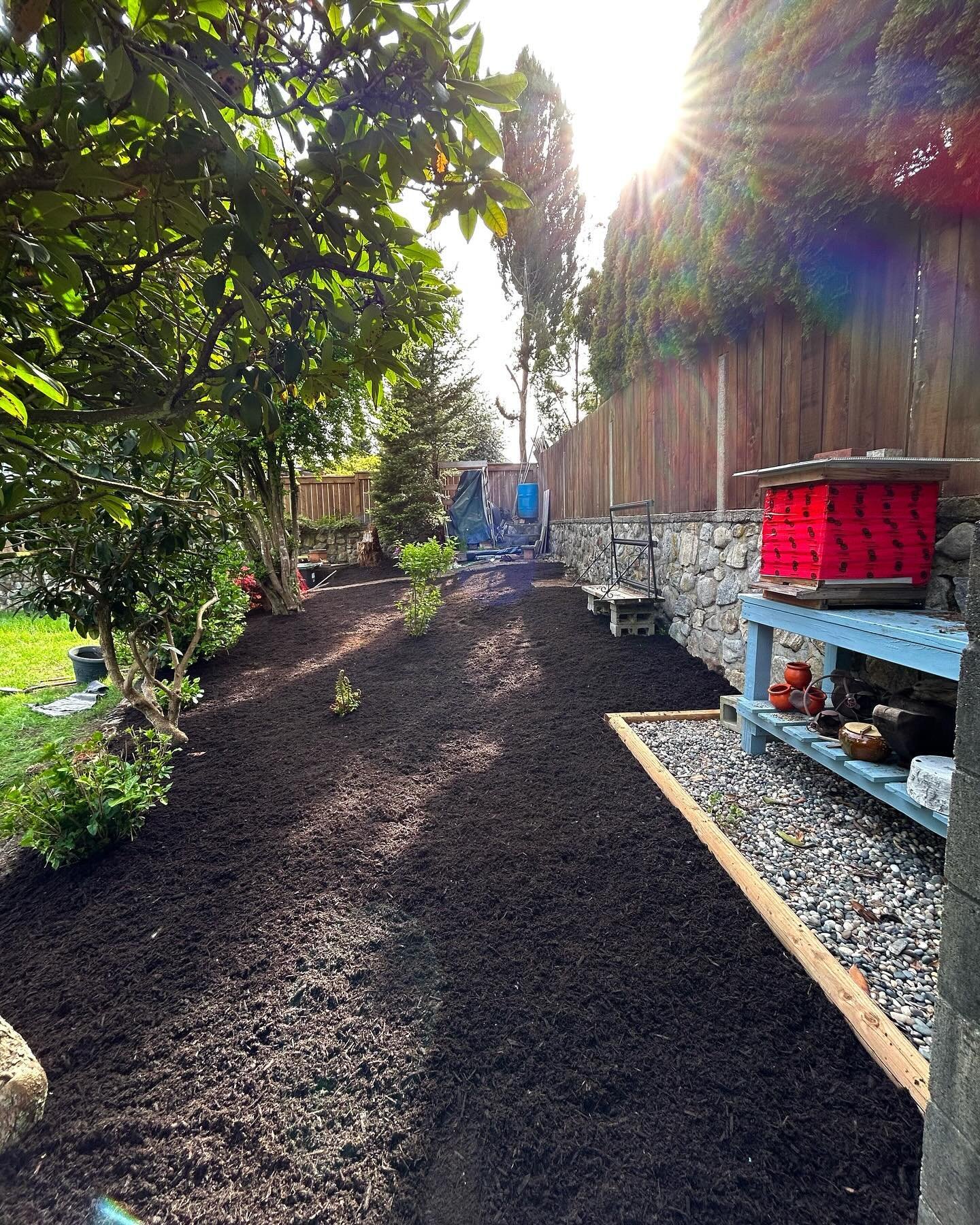 Swipe to see what was underneath these beautiful transformations ➡️
🌱 A whole lot of weeding 
🌱 Fresh landscape fabric laid to prevent any remaining weeds from poking through 
🌱 Topped with a layer of fresh mulch for an aesthetically pleasing look