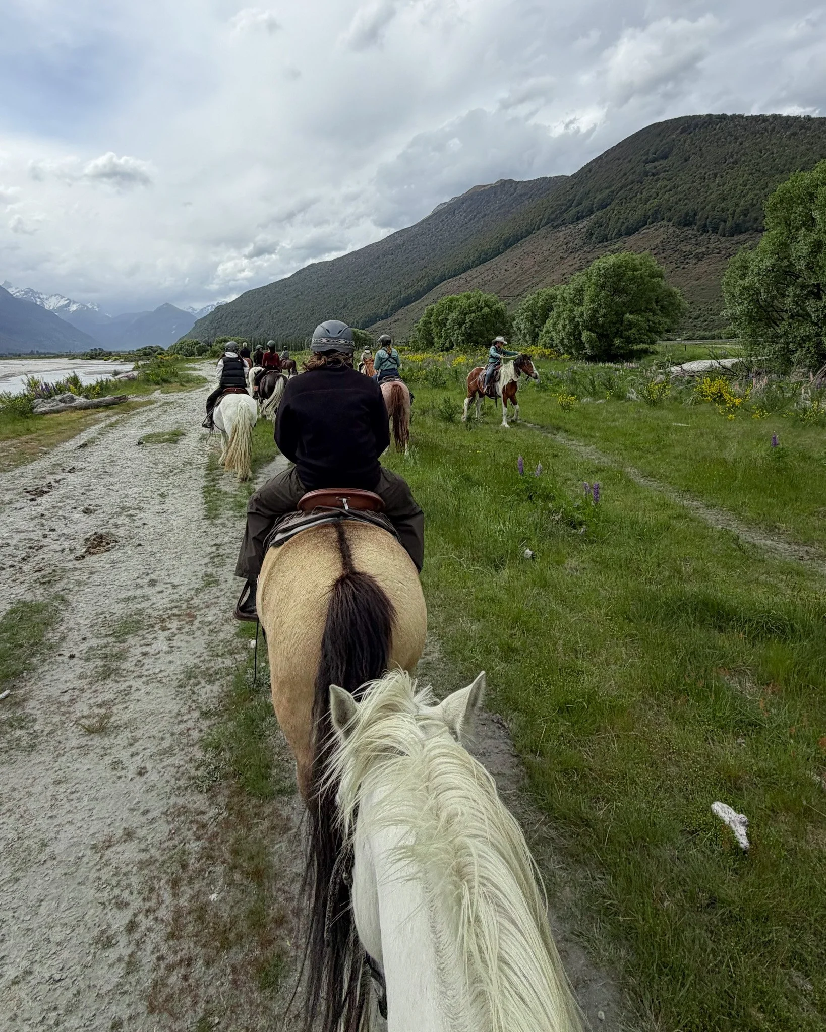 FullSizeRender 2.jpg