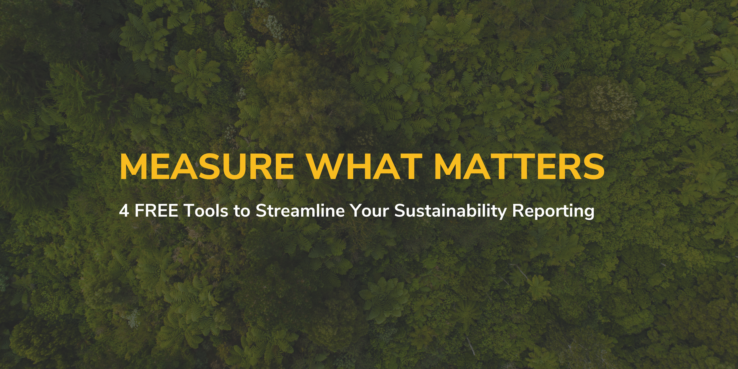 Measure What Matters: 4 FREE Tools to Streamline Your Sustainability Reporting with Dr. Bob Willard