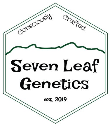 Seven Leaf V2