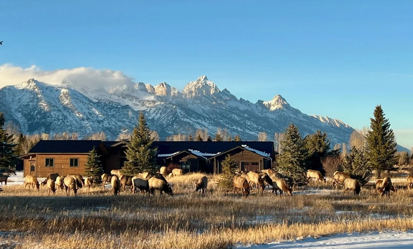 IMG_2263_web sized.jpg