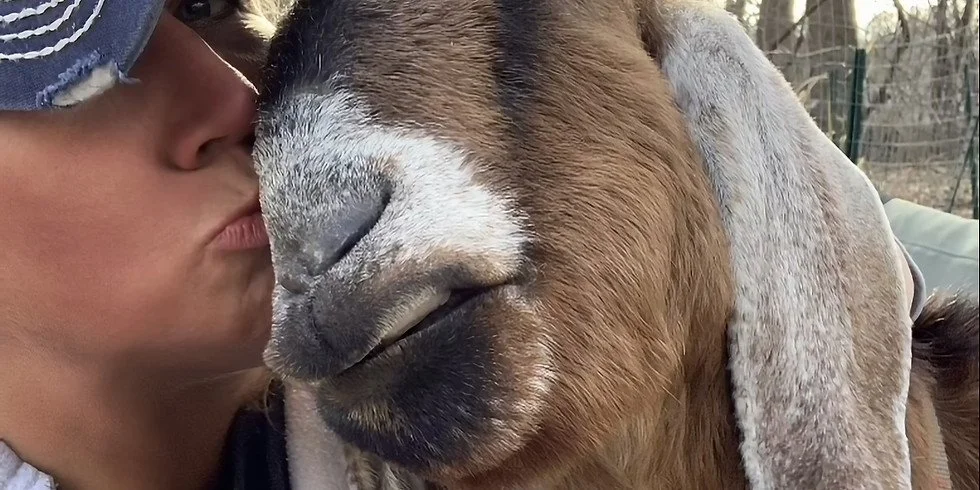 Philly Goat Project: All Abilities RAMble (Disability Friendly Farm Visit!)