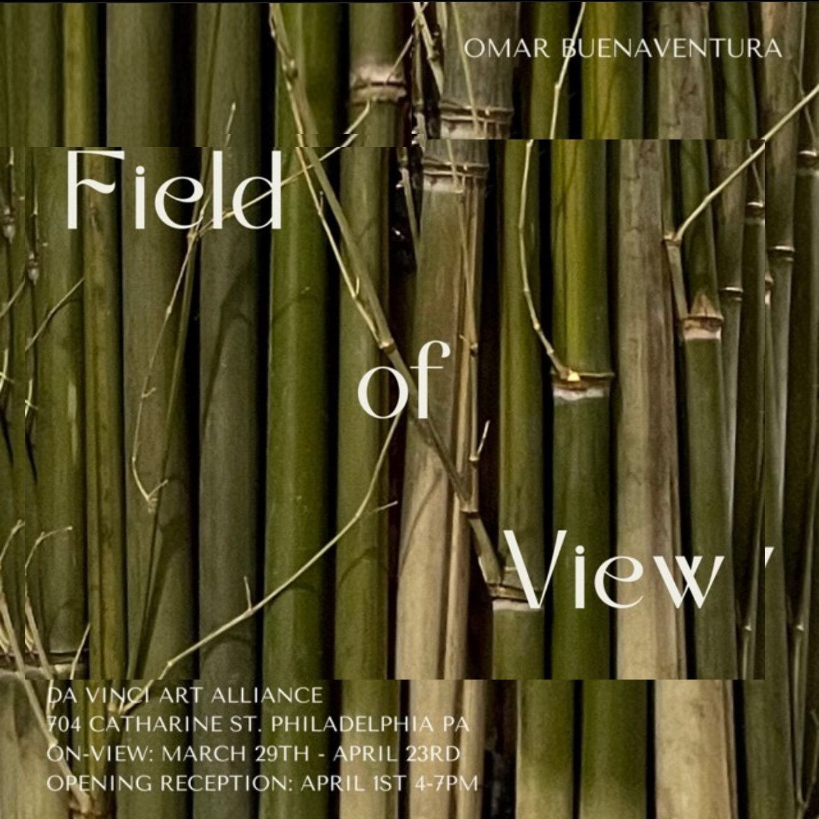 Field of View