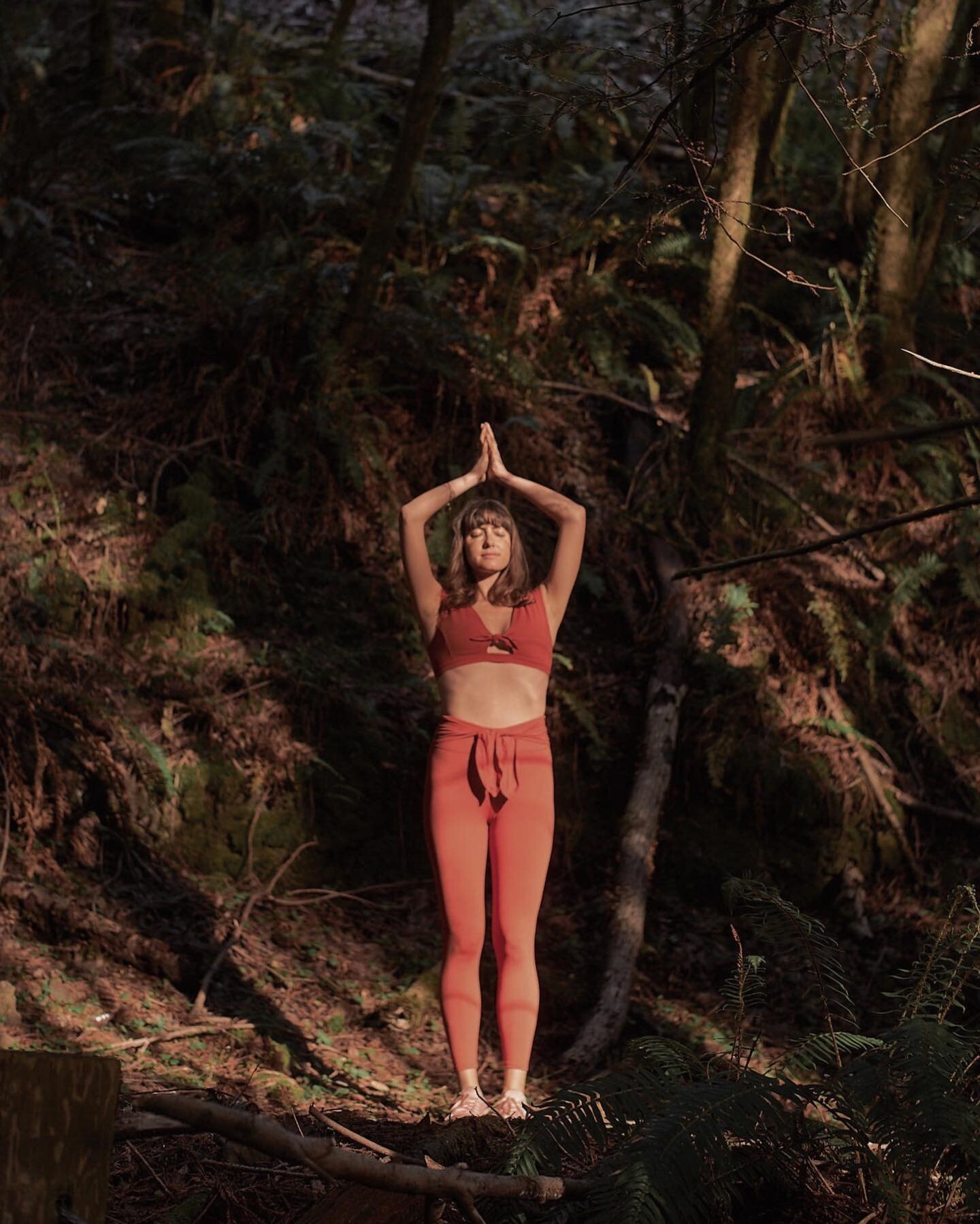 &lsquo;Keep close to Nature&rsquo;s heart and break clear away, once in a while, and climb a mountain or spend a week in the woods. Wash your spirit clean.&rsquo; &mdash; John Muir 🪷

Looking forward to sharing some of my favorite yoga and meditatio