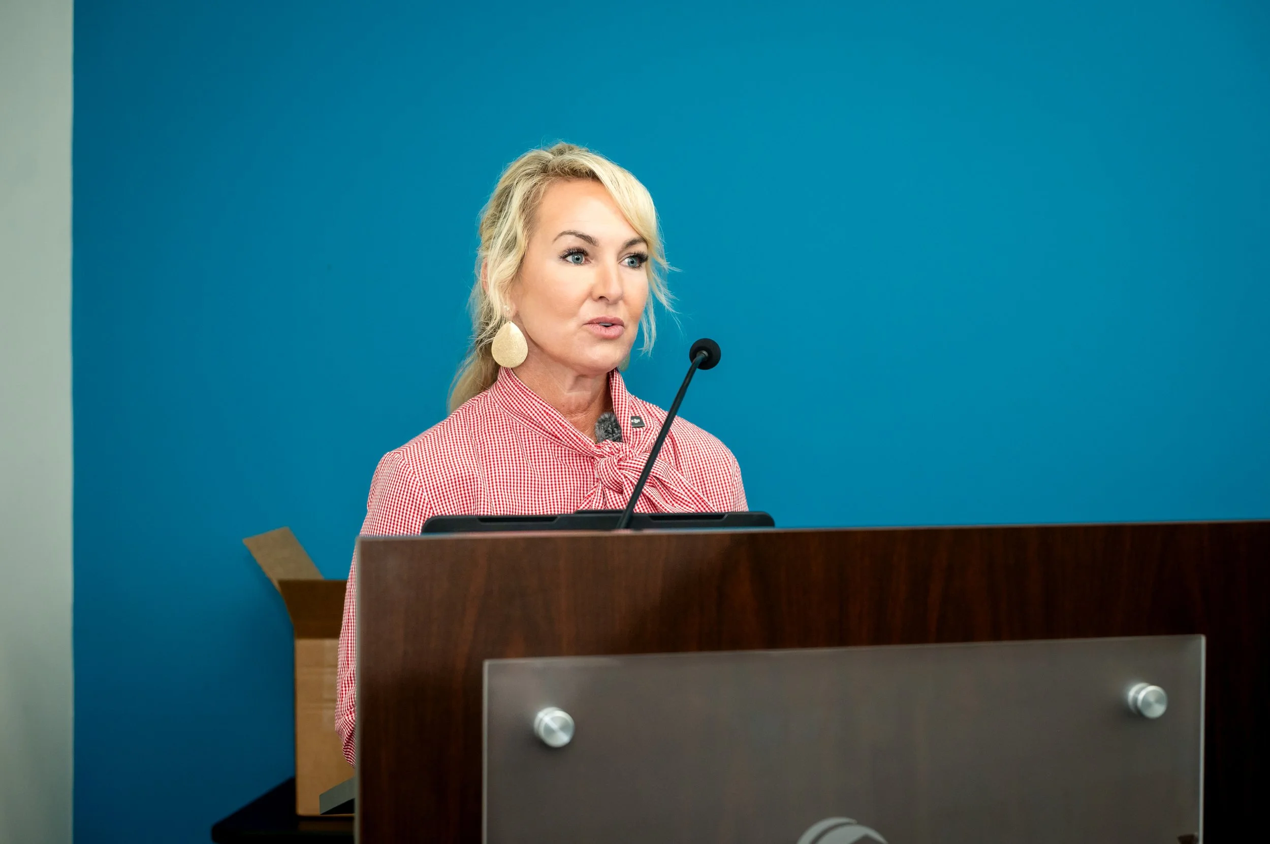 Sandy McAlpine speaking behind a podium at her 2027 Planning Workshop in Myrtle Beach.