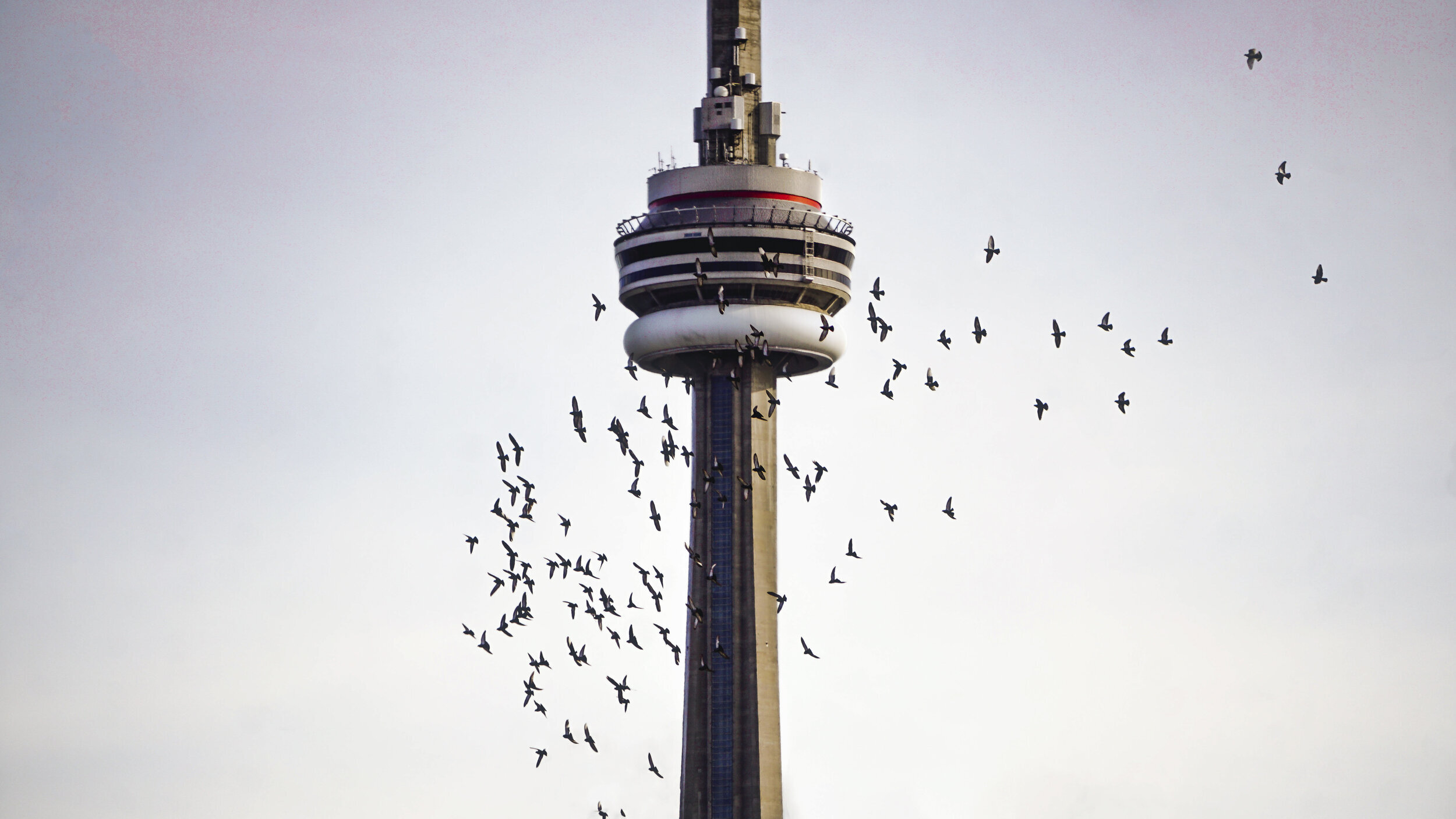 The Open Gallery: Photo Geniuses Exhibit