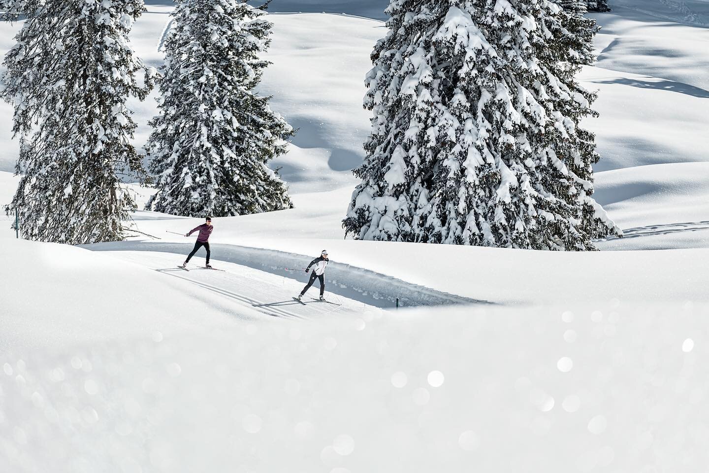 💙 Nordic-Shoot f&uuml;r @lenzerheide 
❄️ LL-Buddy @urspargmann 
📸 @hannah_bichay - just wow!

#lenzerheidenordic #lenzerheide #nordicbylenzerheide #langlaufen #crosscountryskiing #winterlovers